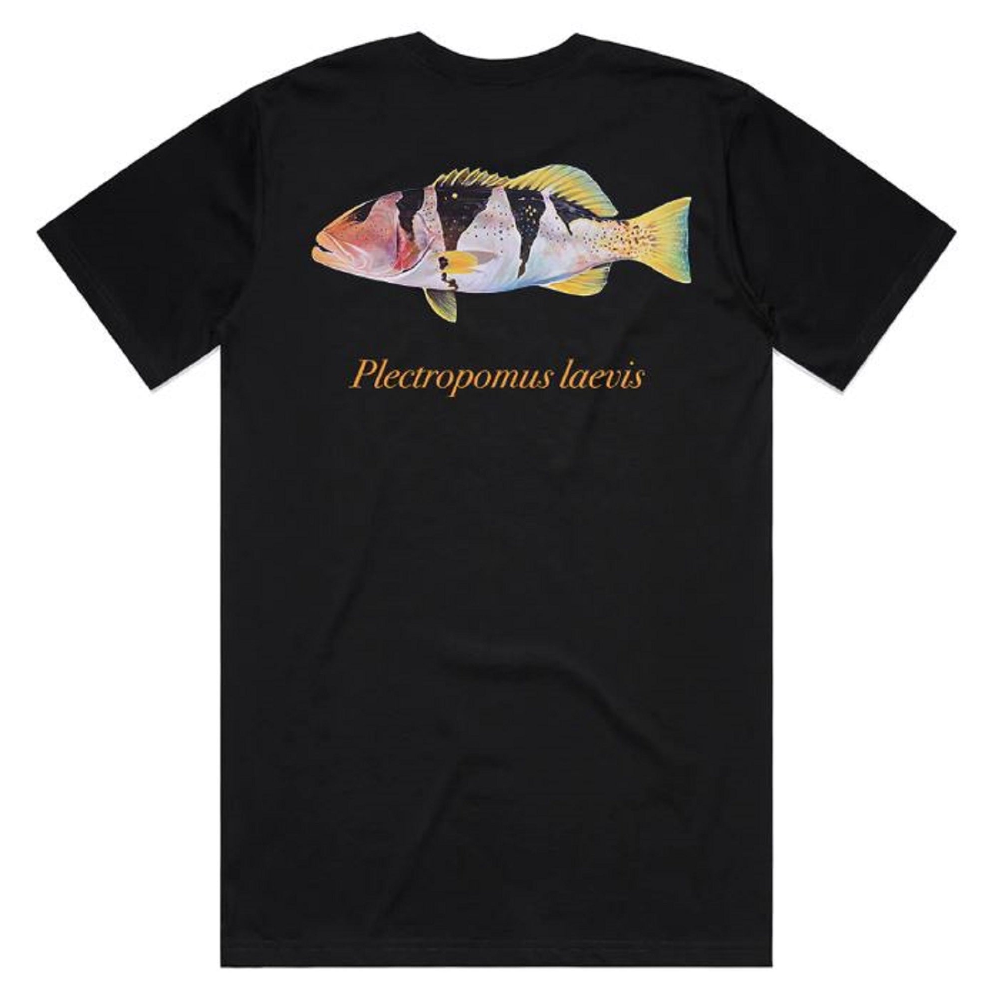 Reef Lagoon T-Shirt Footballer Coral Trout Size XL Black (0915)