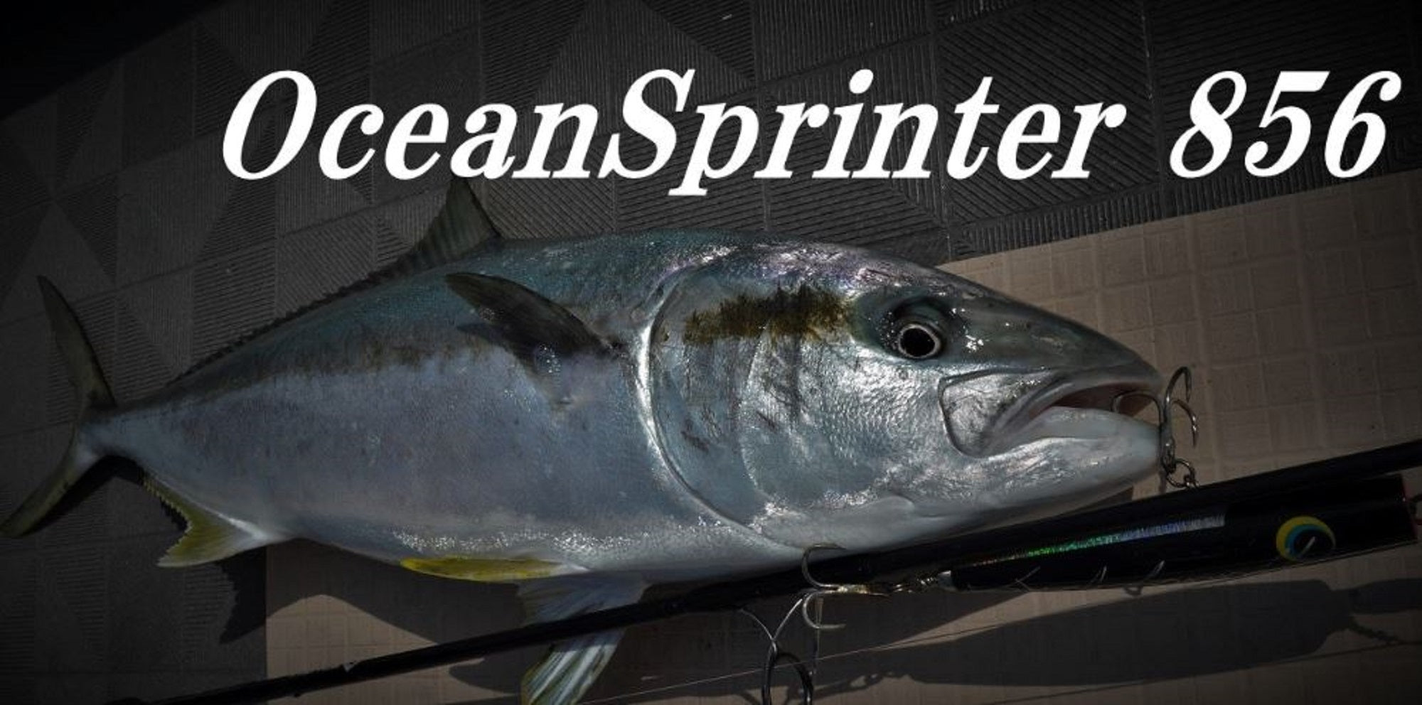 Truth Rod Spinning 856 Ocean Sprinter P.E 5-6 Japan (2300)
