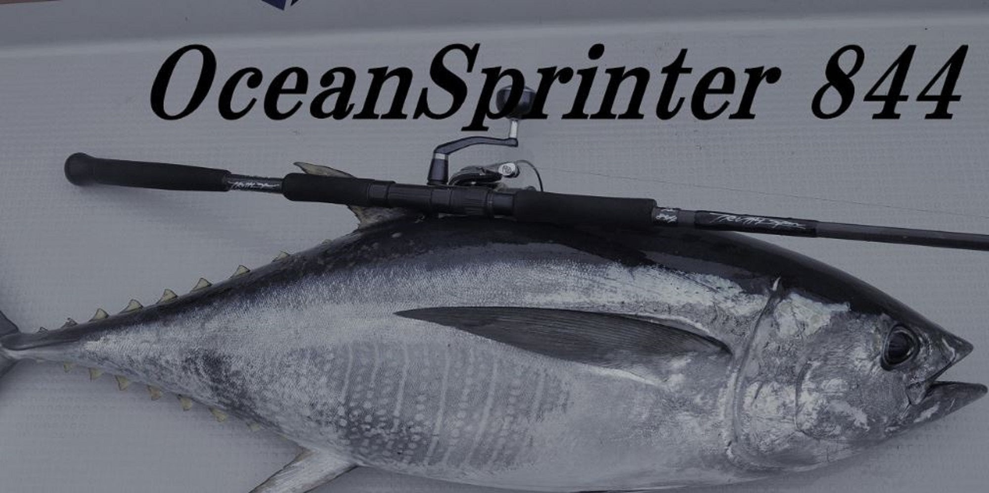 Truth Rod Spinning 844 Ocean Sprinter Japan (2301)