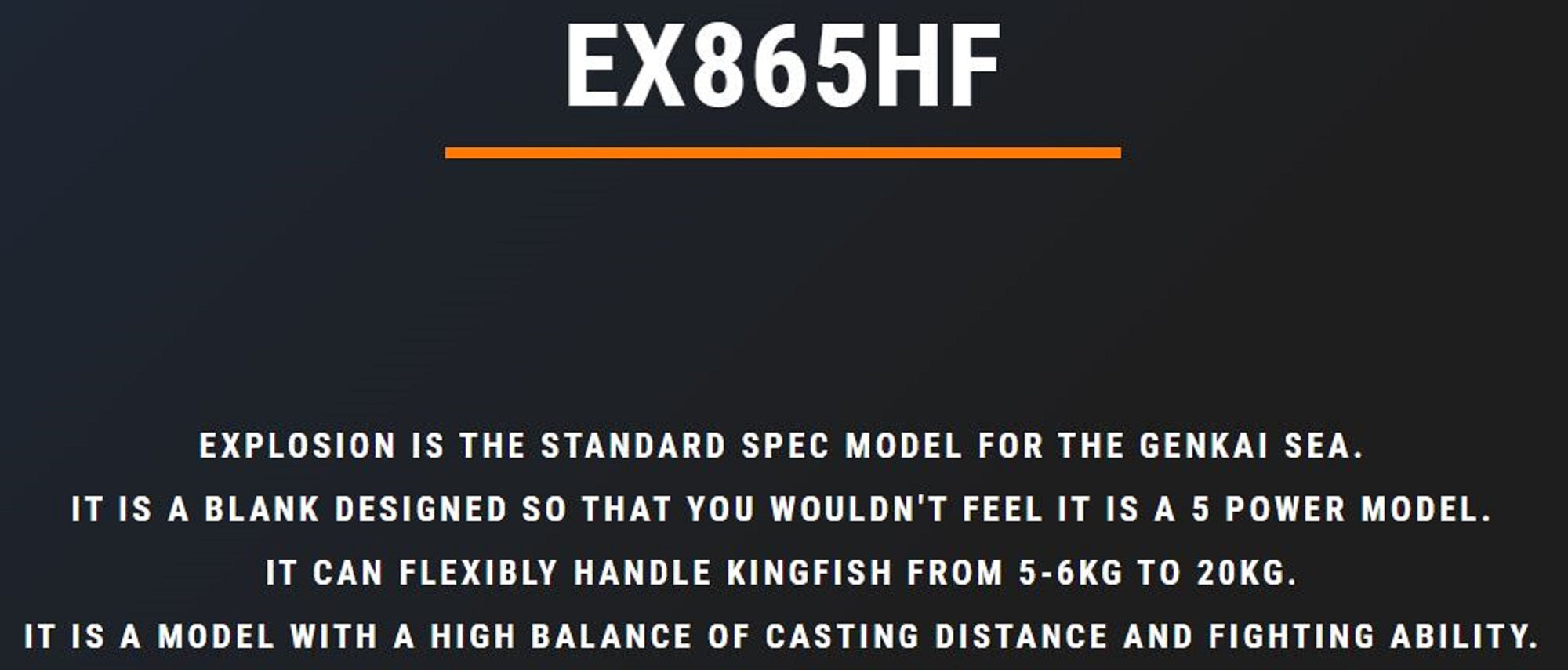 MC Works Rod Spinning EX865HF STD P.E 4-6 60-110 grams (2138)