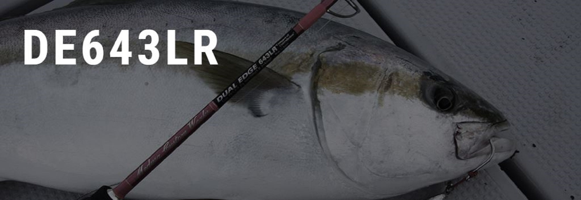 MC Works Rod Spinning DE643LR SP P.E 2-4 Jig Max 250 grams (1050)