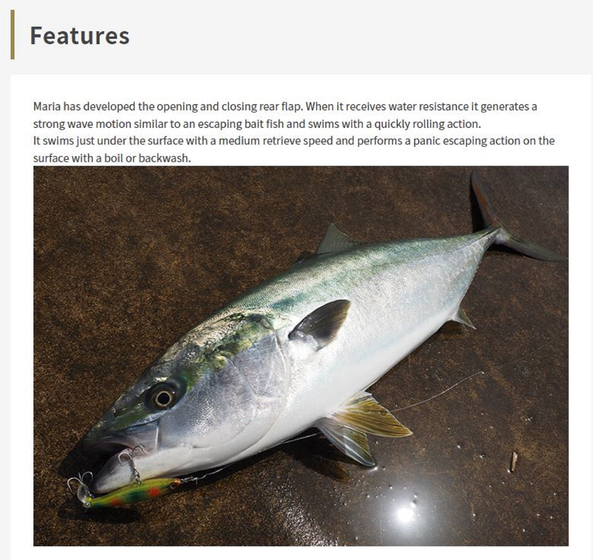 Maria Fla Pen S115 38 grams Sinking Lure B13H (2616)