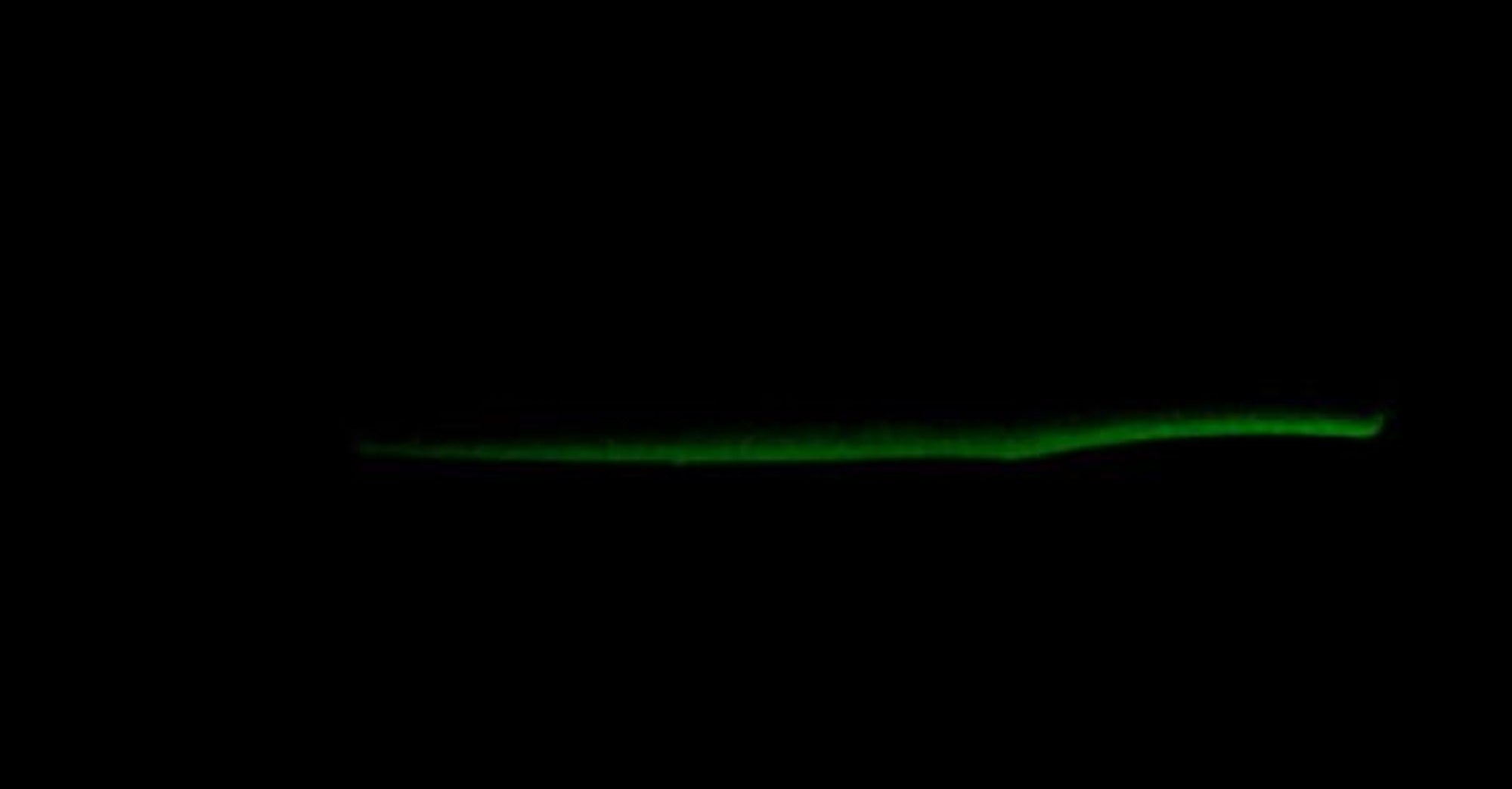 Maria Duplex 80mm 31 grams Sinking Lure 015 (4449)