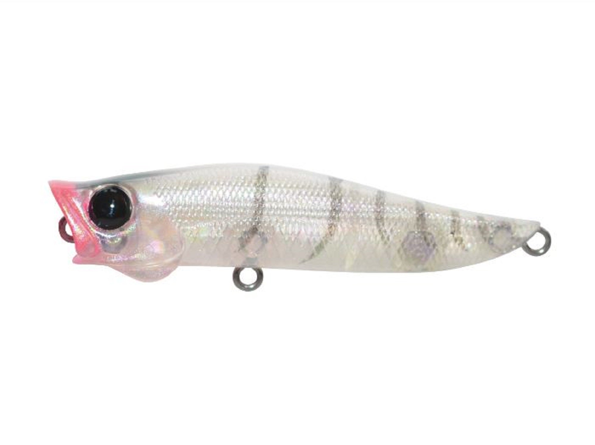 Jackson R.A Popper 70 mm 7 grams Floating Lure SAC (6175)