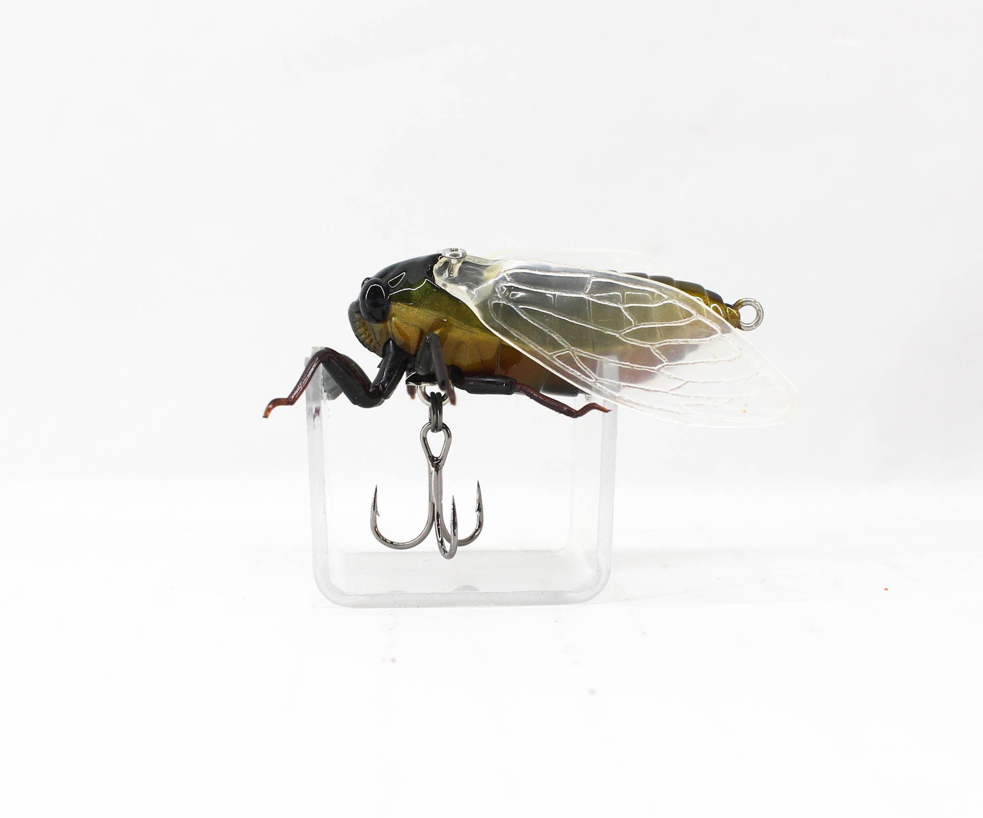 Jackson Namazemi Cicada Floating Lure KMZ (4957)