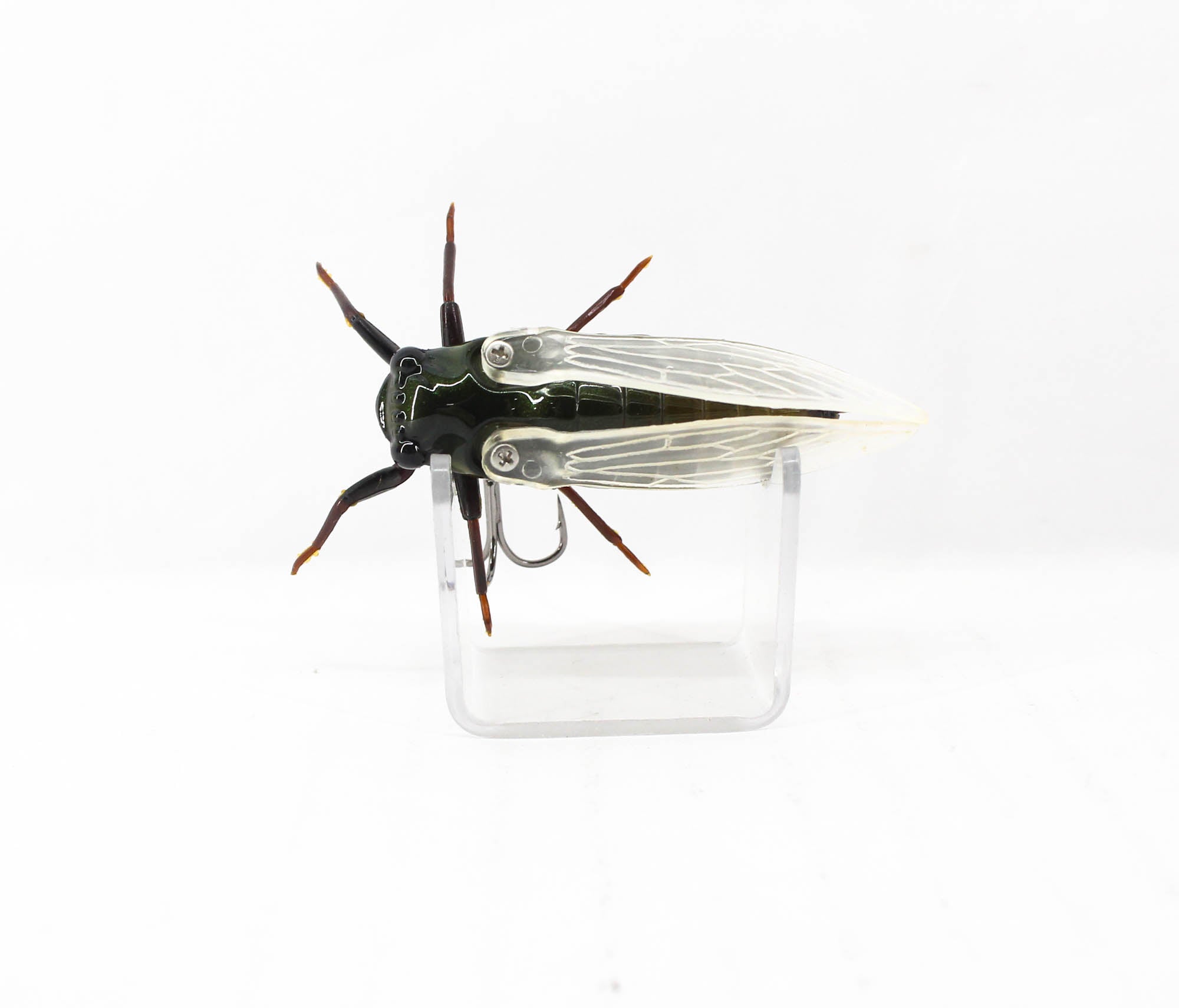 Jackson Namazemi Cicada Floating Lure KMZ (4957)