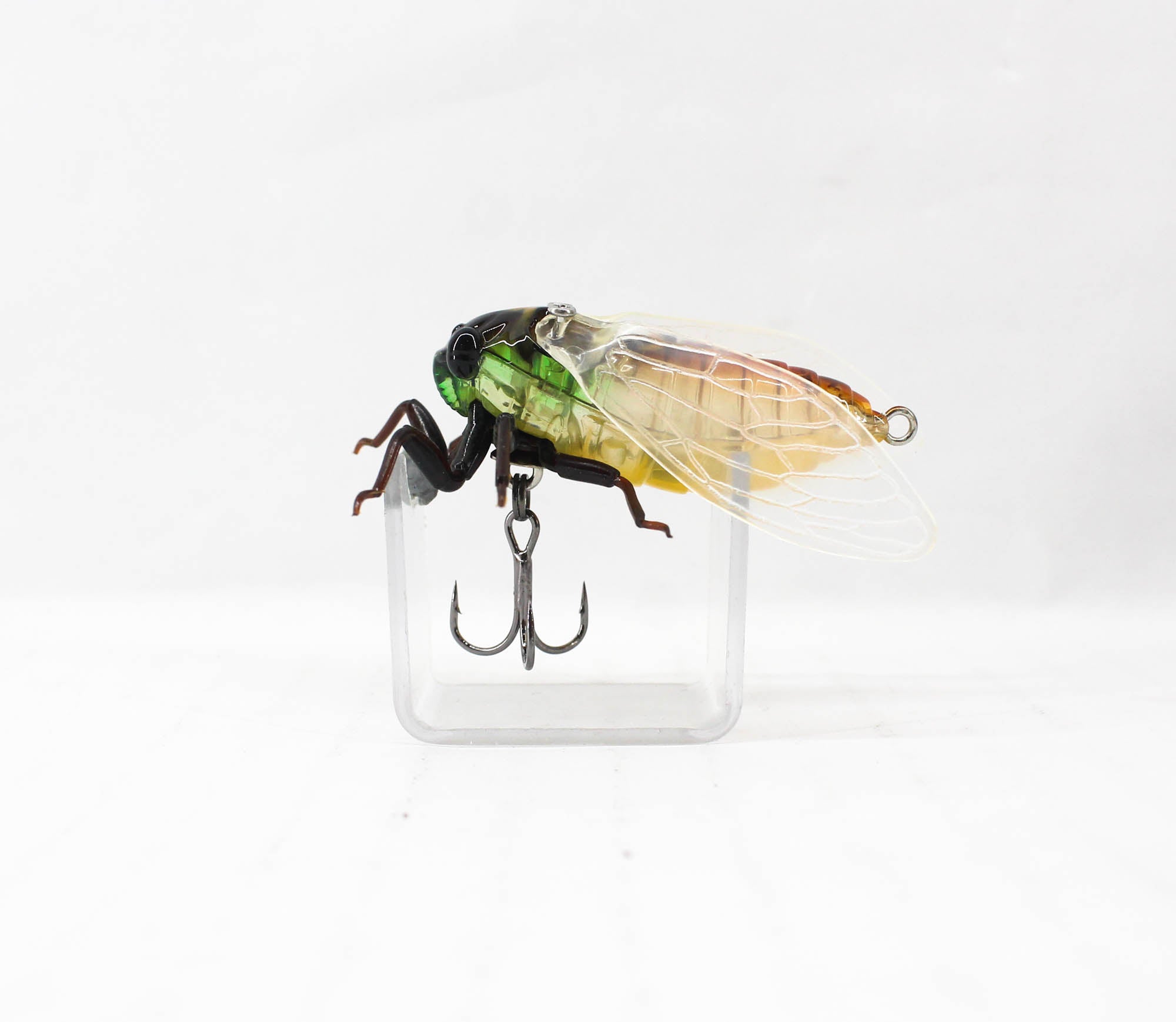 Jackson Namazemi Cicada Floating Lure HGR (4971)