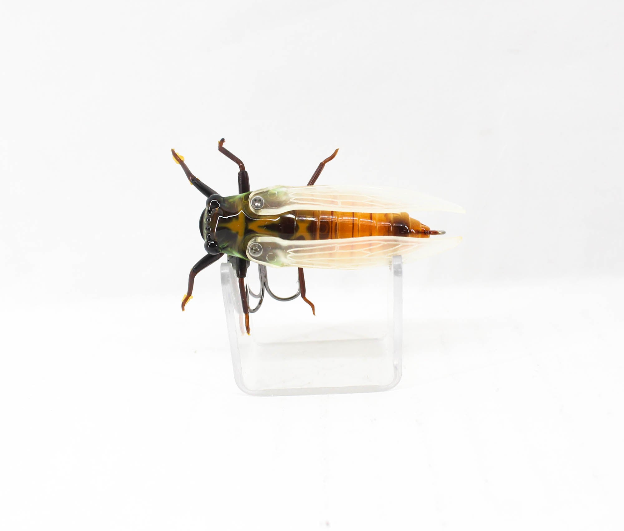 Jackson Namazemi Cicada Floating Lure HGR (4971)