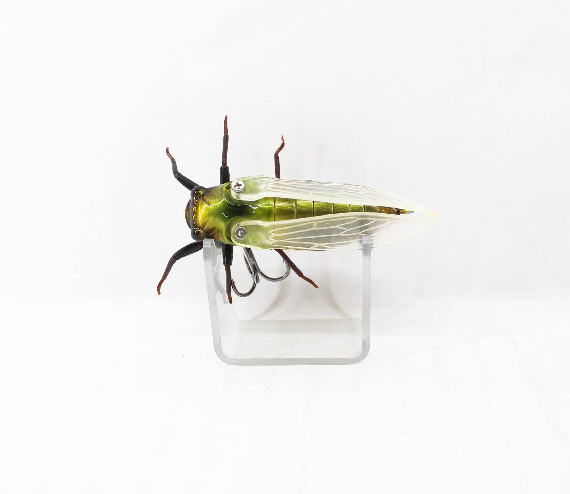 Jackson Namazemi Cicada Floating Lure TTB (4995)