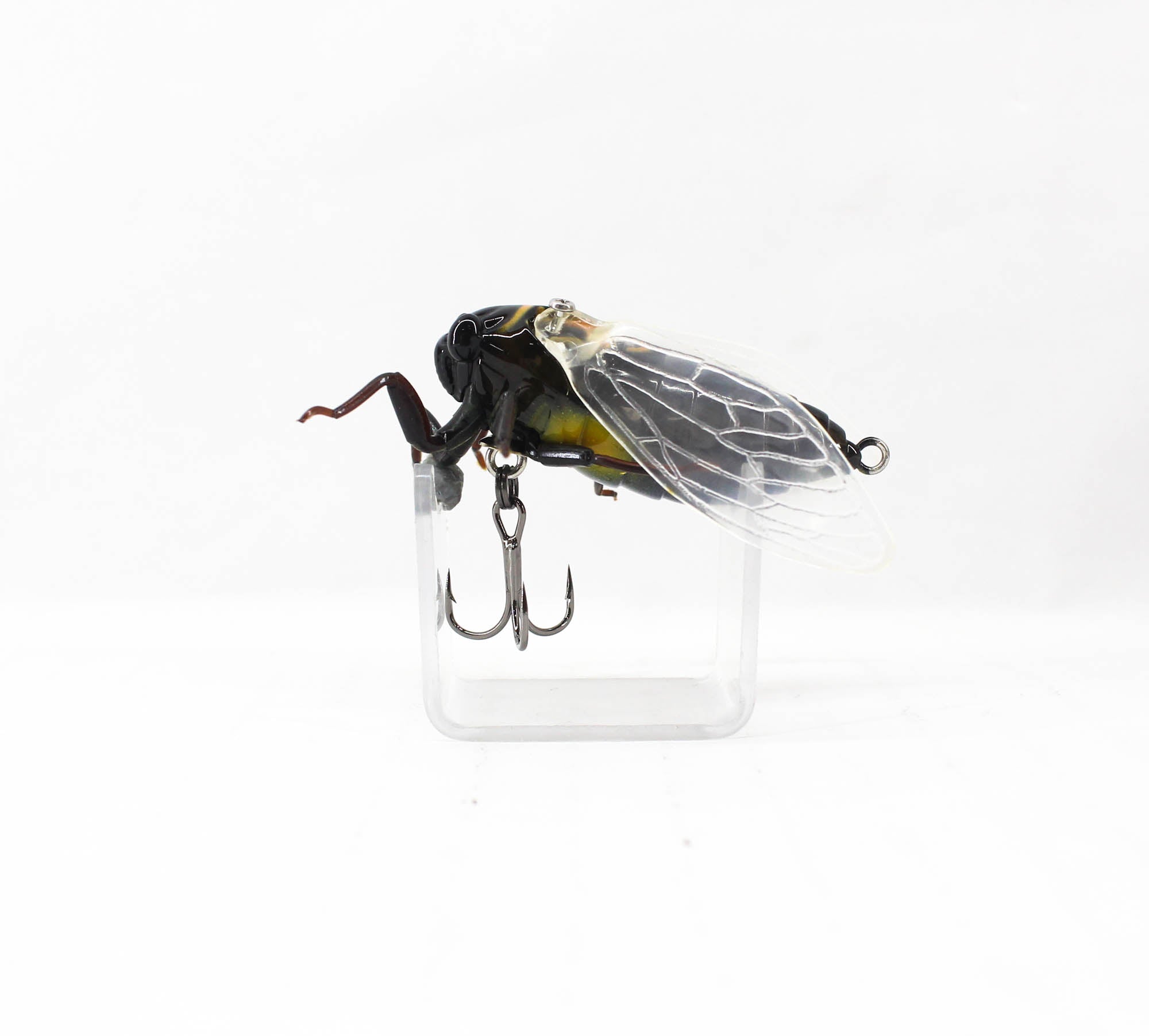Jackson Namazemi Cicada Floating Lure EZZ (5008)