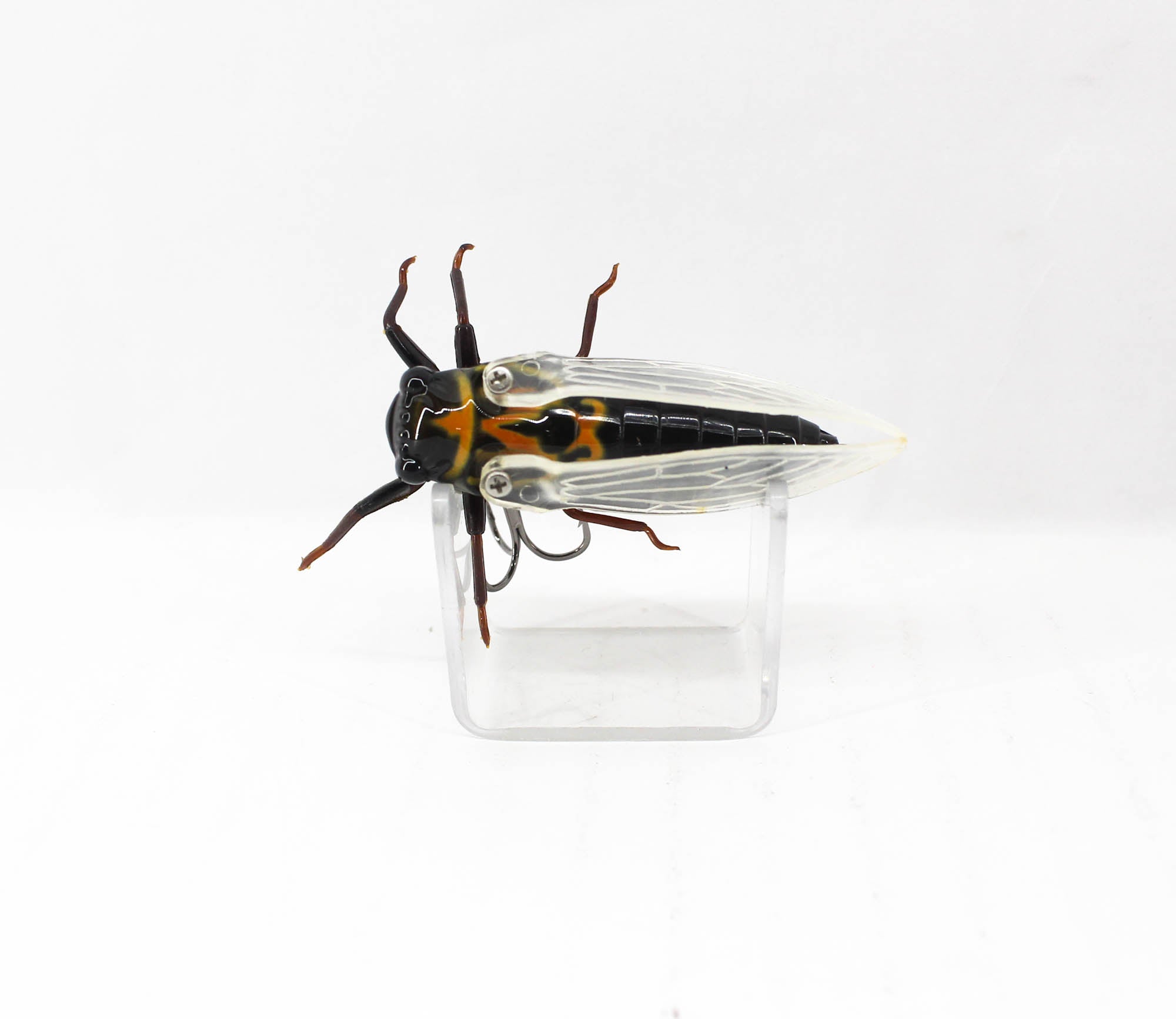 Jackson Namazemi Cicada Floating Lure EZZ (5008)