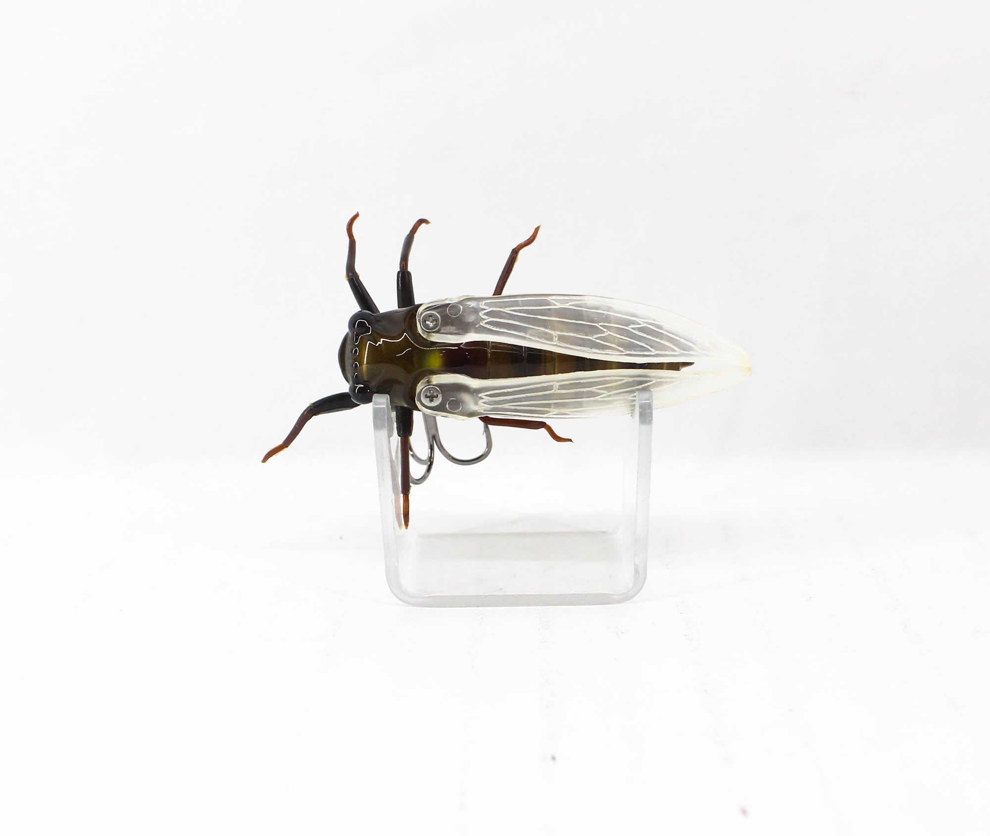 Jackson Namazemi Cicada Floating Lure HRZ (5015)
