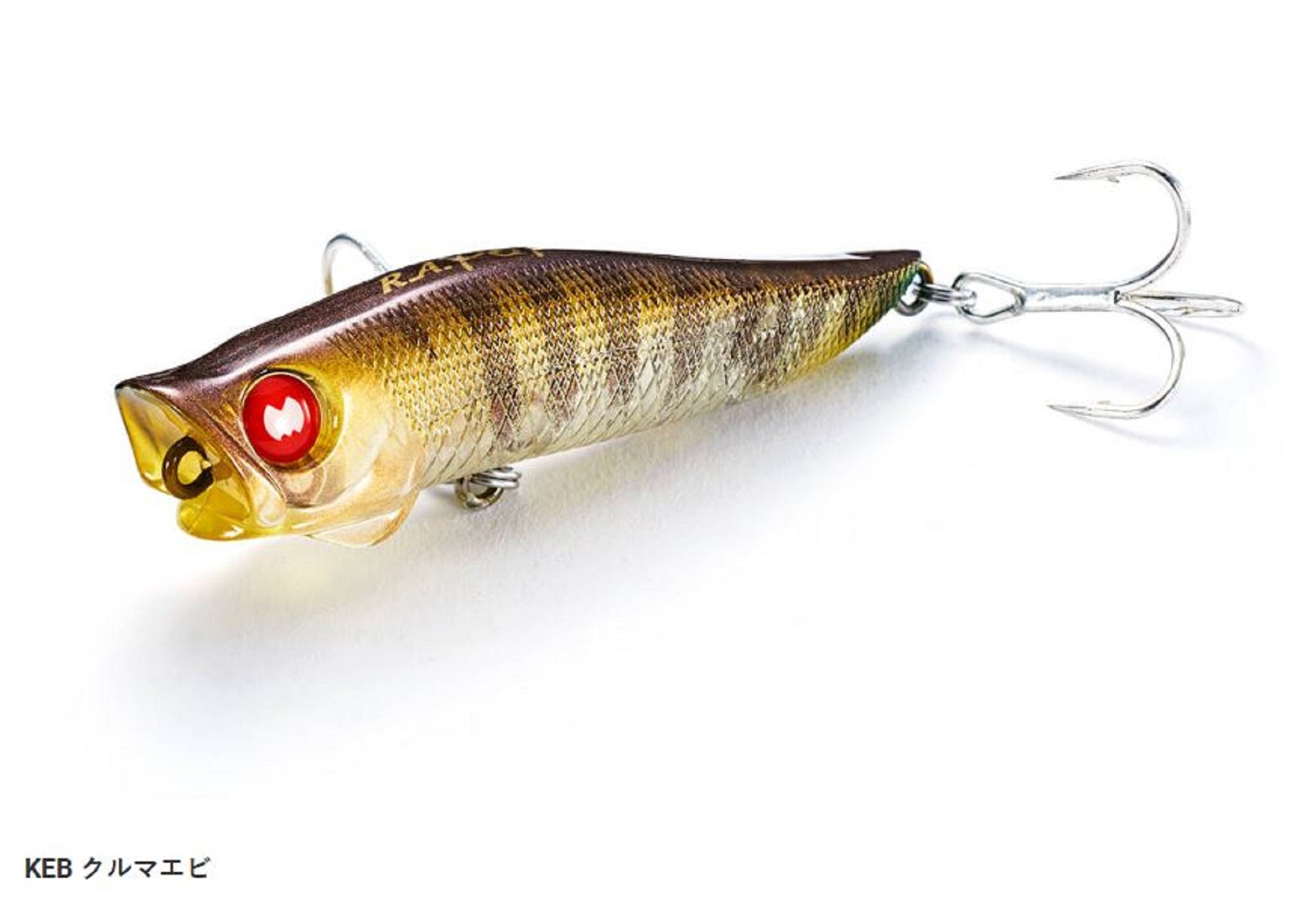 Jackson R.A Popper 70 mm 7 grams Floating Lure KEB (8009)