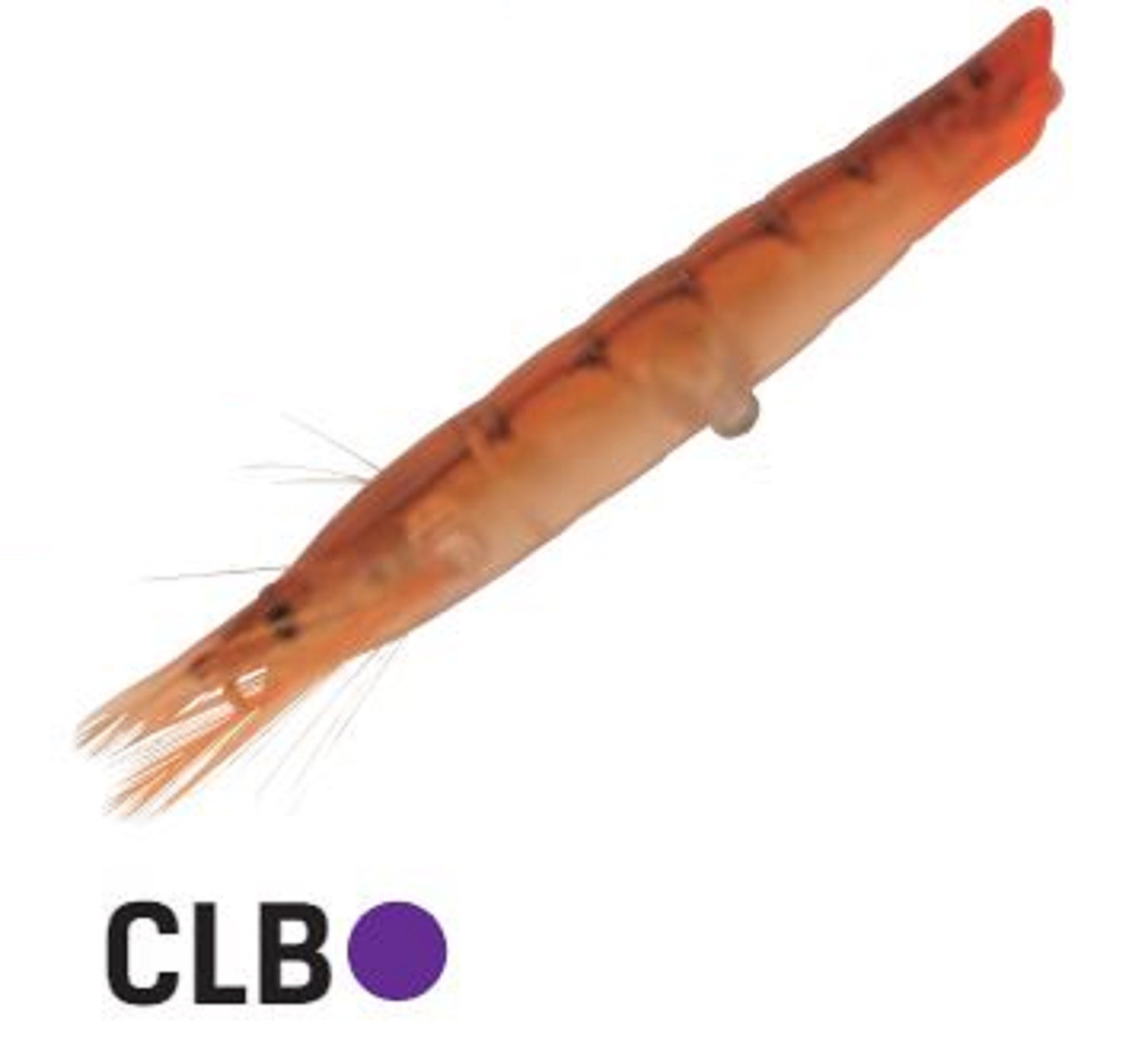 Jackson Ebi Panic 70 Topwater Floating Lure CLB (9198)