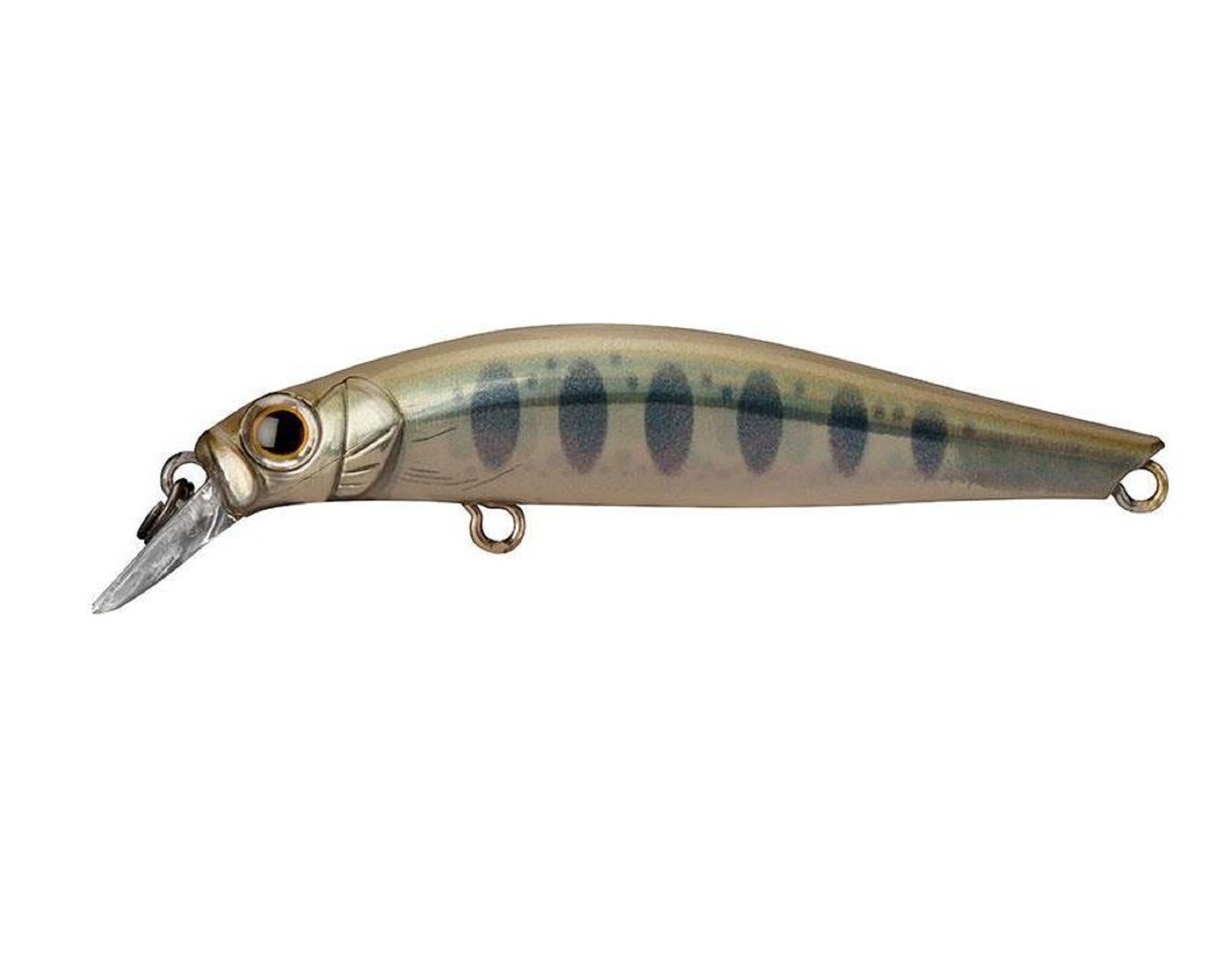 Jackson Artist FR 55 Sinking Minnow Lure LYM (0483)