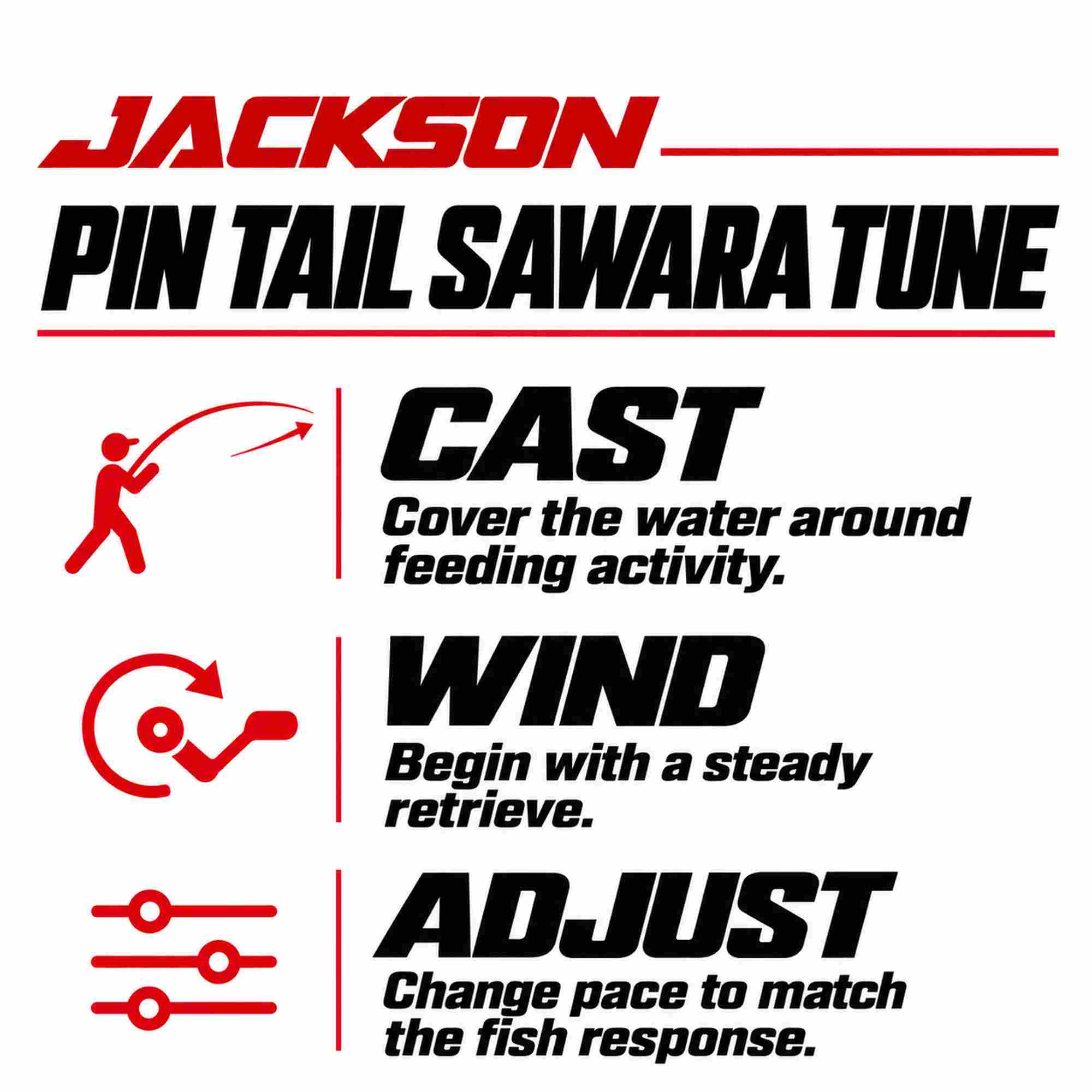 Jackson Pin Tail Sawara Tune 42 grams 120 mm Sinking Lure SRI (3996)