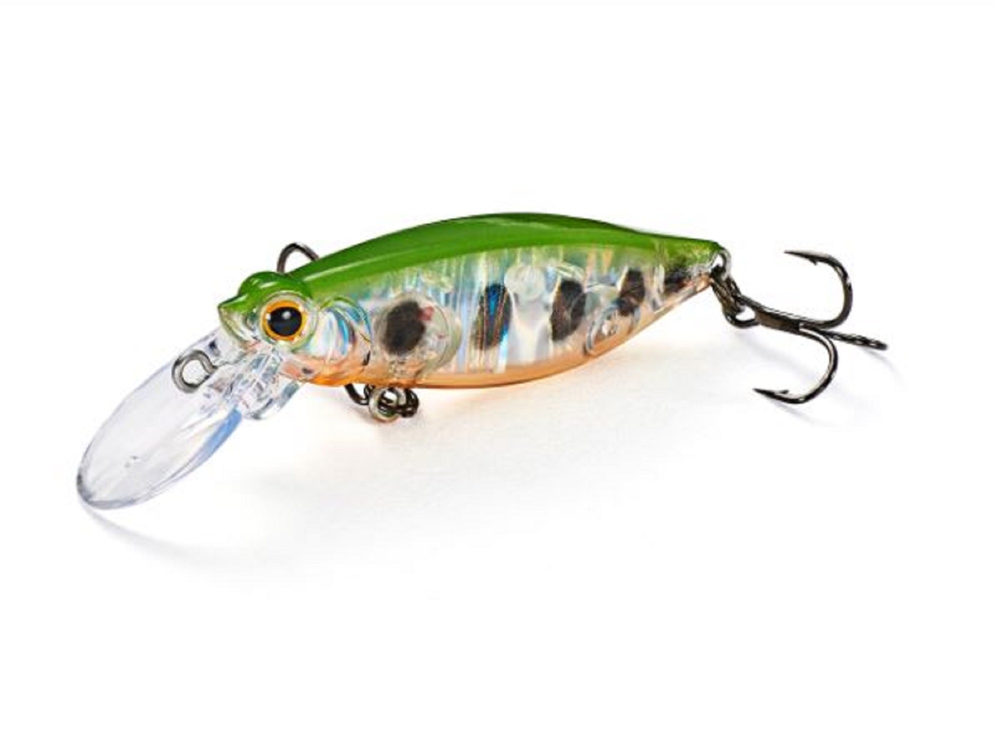 Jackson Resist 45 Floating Lure WYM (6698)