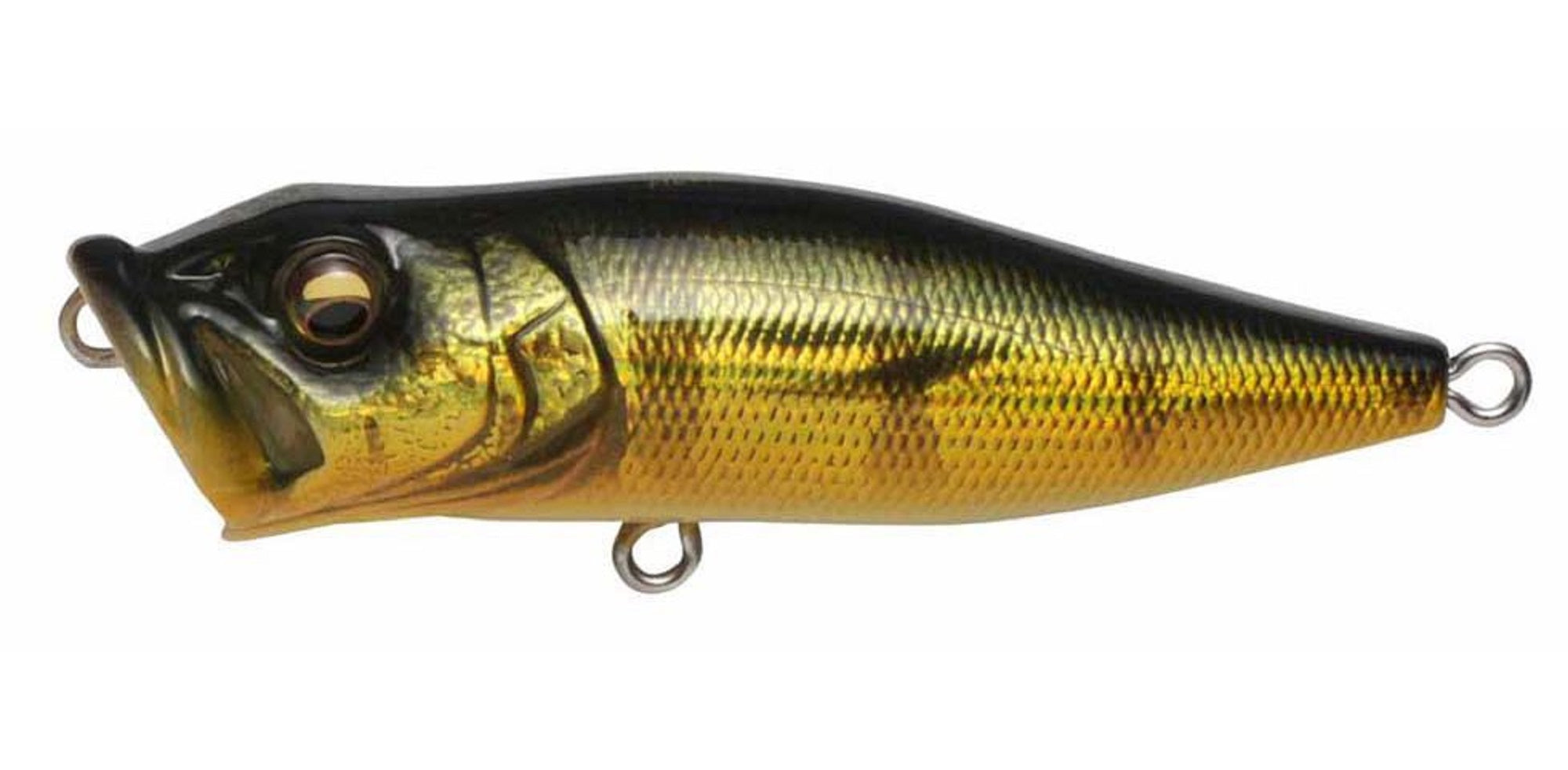 Megabass Pop X Standard 64 mm 7 grams Floating Lure GG Peacock (2273)