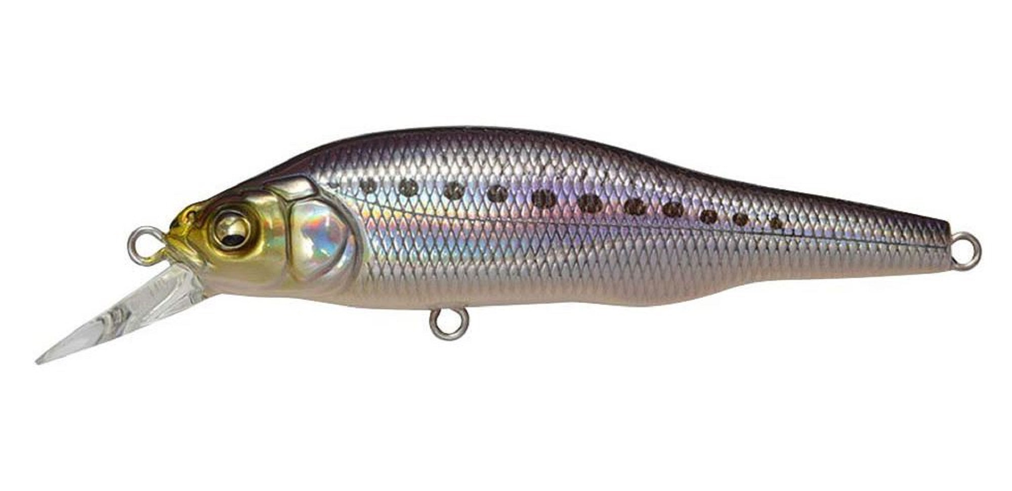 Megabass X-80 SW Slow Sinking Lure GG Iwashi (3217)