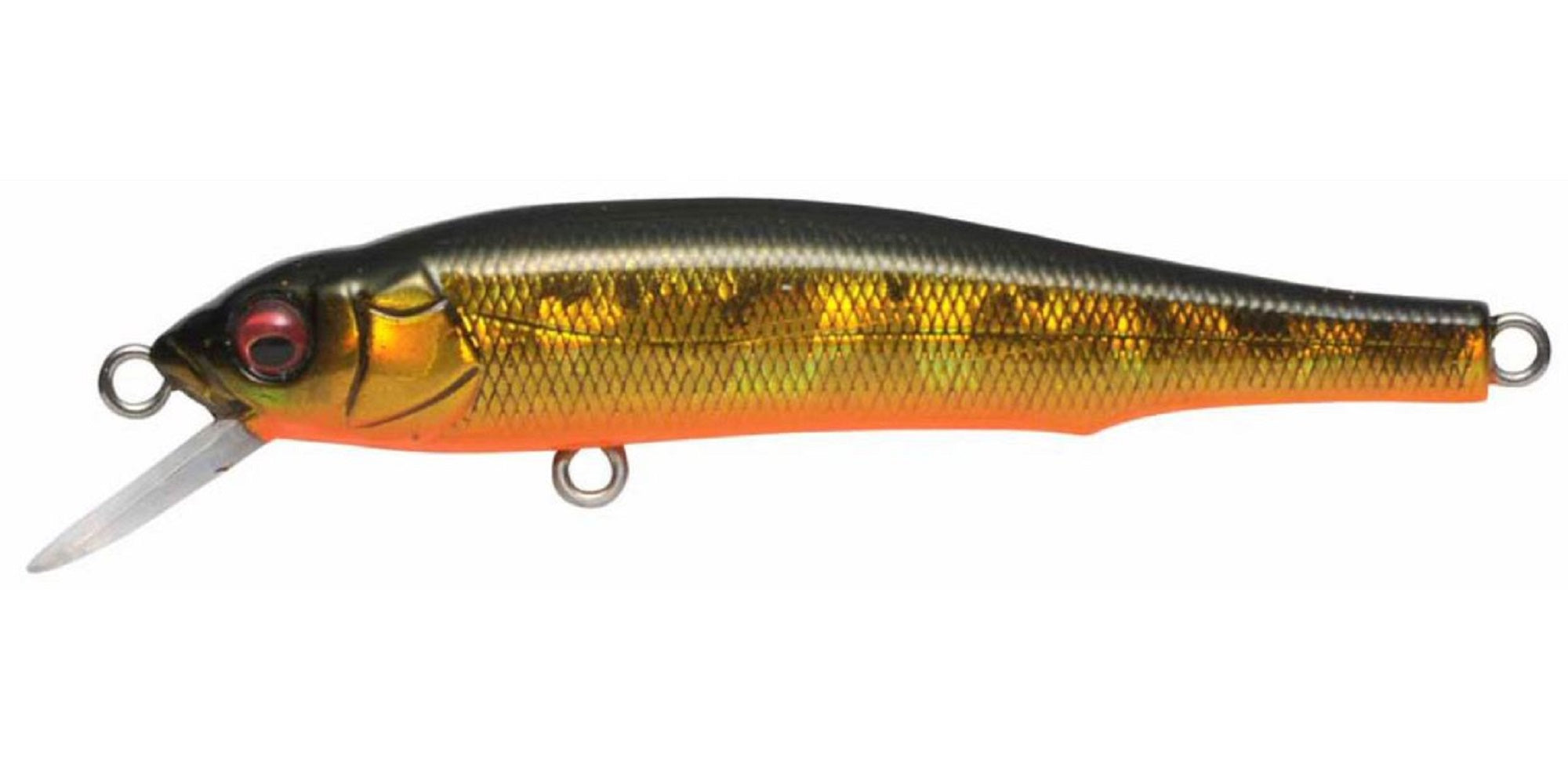 Megabass X-70 Suspend Minnow Lure GG Megabass Kinkuro (8410)
