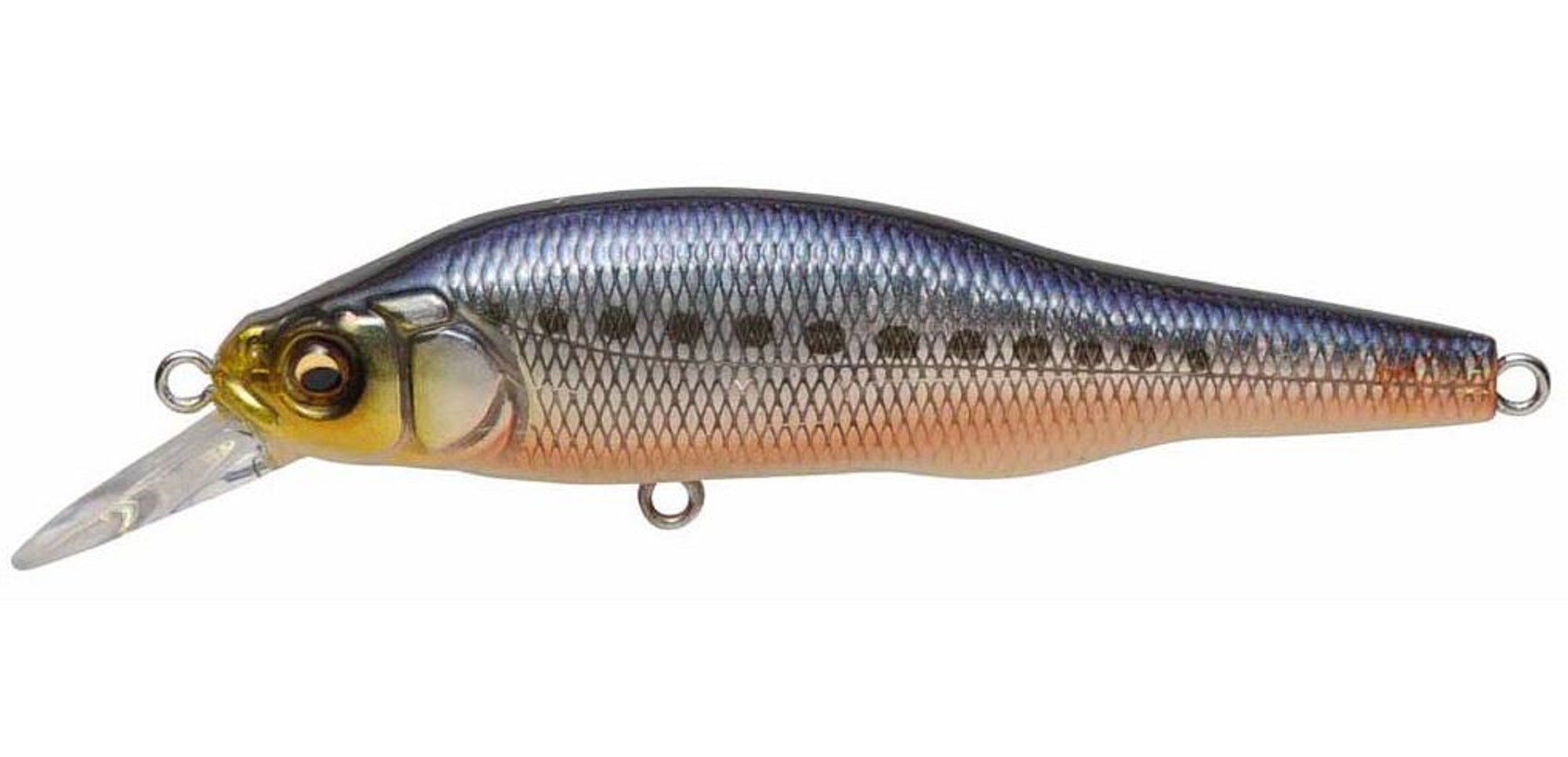 Megabass X-80 SW Slow Sinking Lure GG Akahara Iwashi (1744)