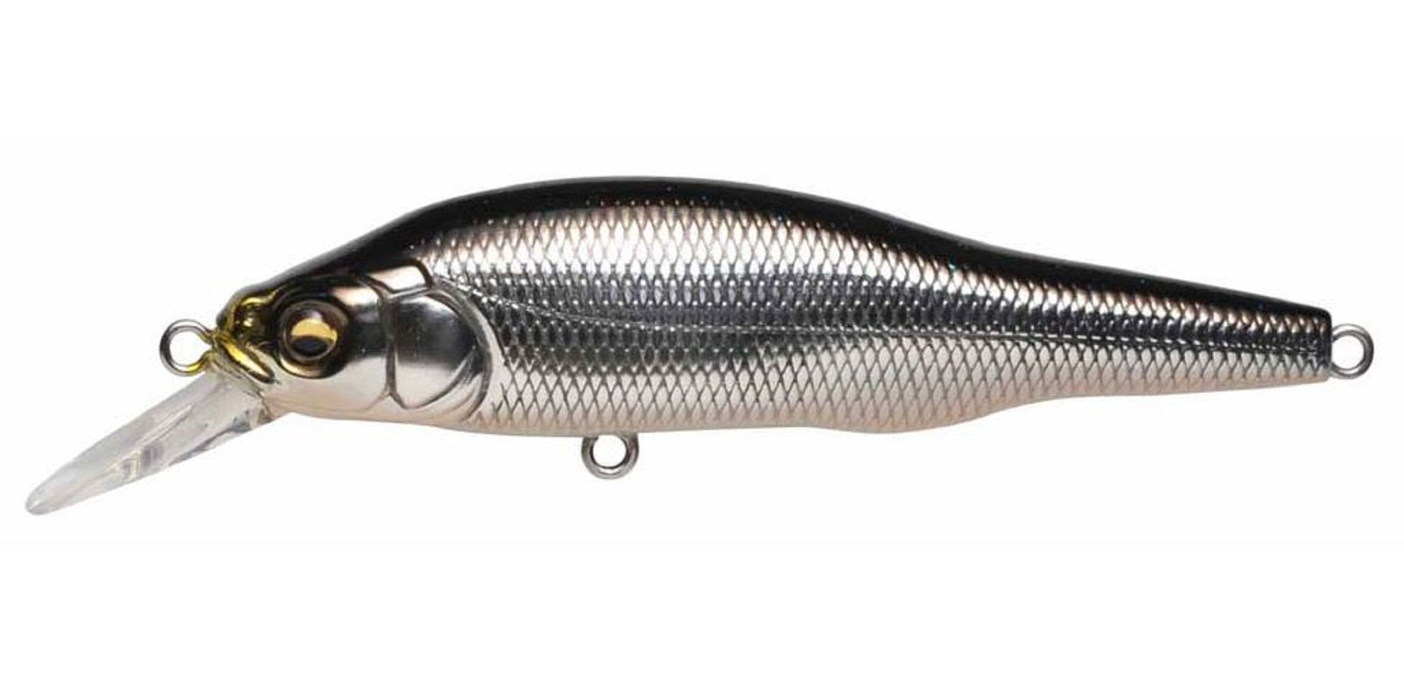 Megabass X-80 SW Slow Sinking Lure M Seguro Iwashi Stardust (1812)