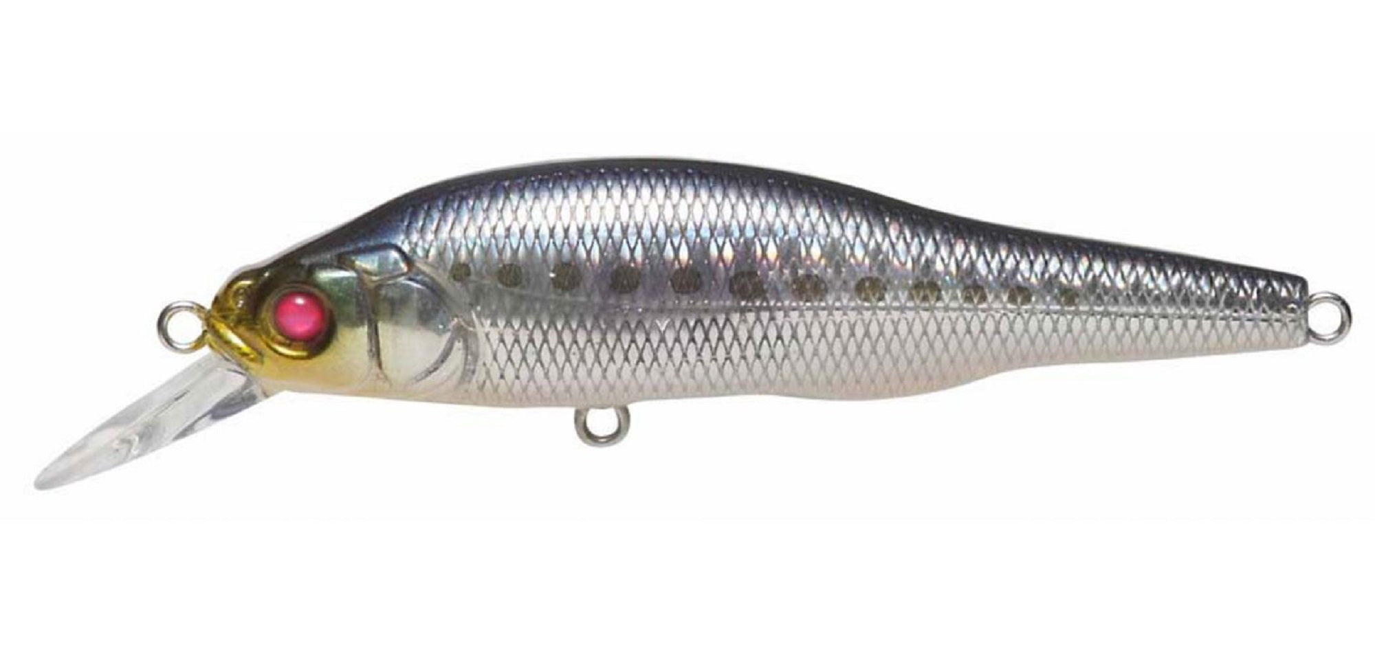 Megabass X-80 Beat SW Slow Sinking Lure GG Iwashi (8698)