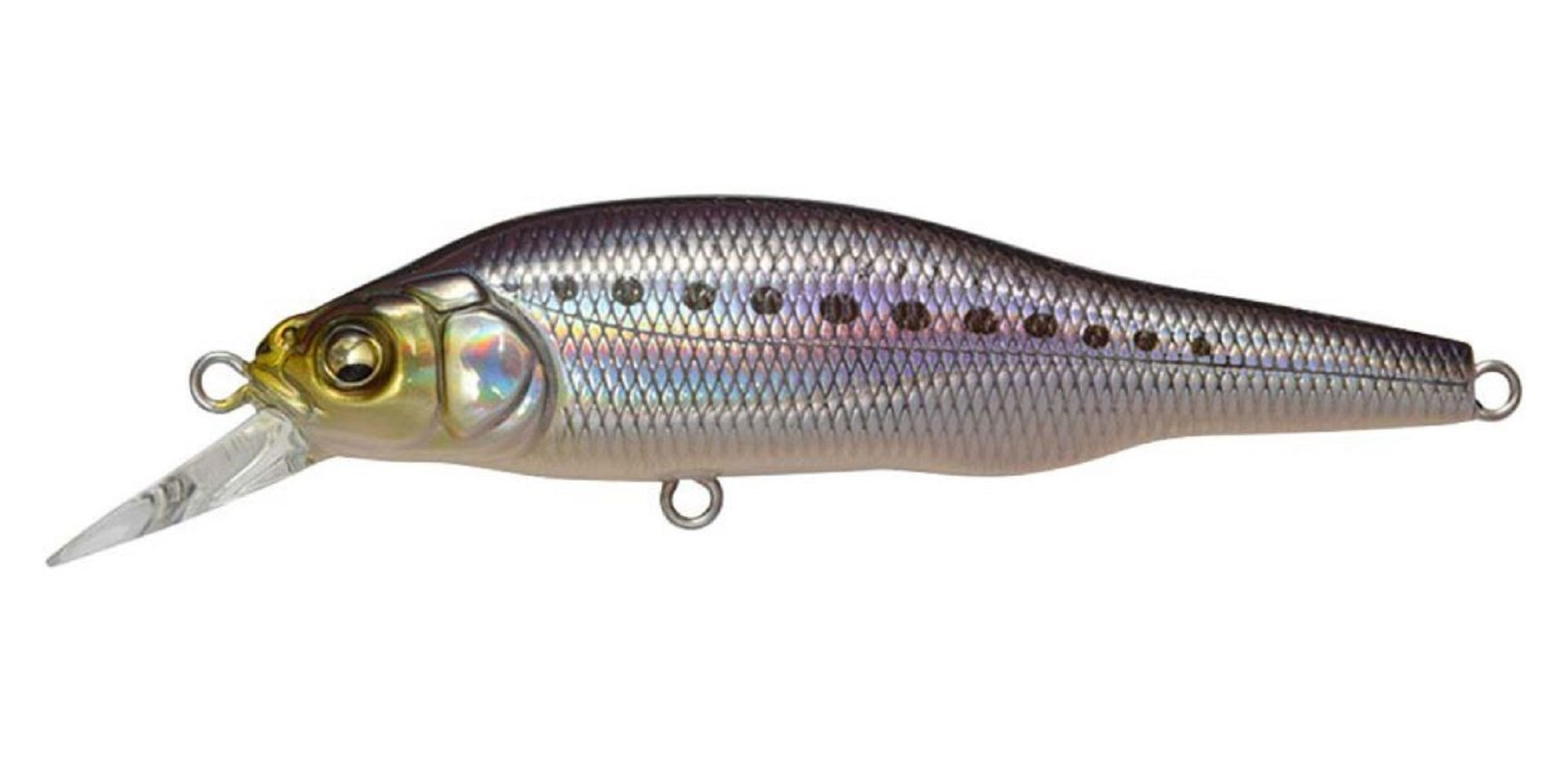 Megabass X-80 SW Slow Sinking Lure LZ Iwashi (7550)