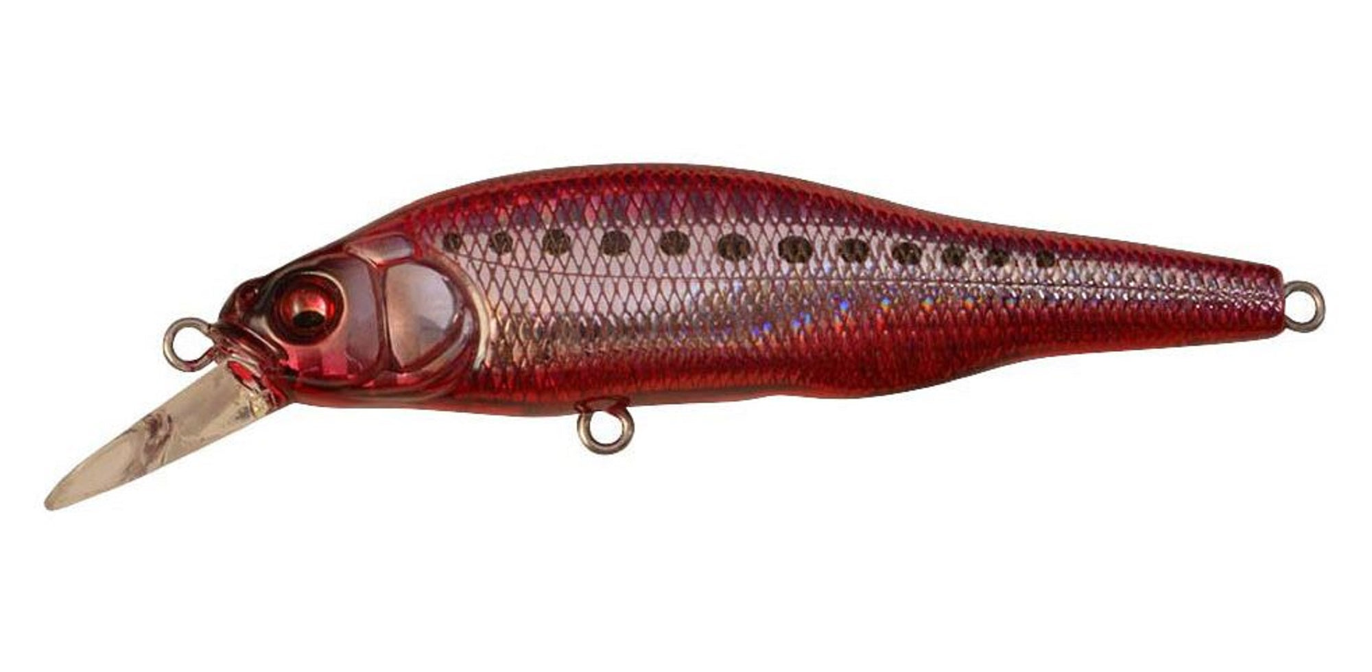 Megabass X-80 SW Slow Sinking Lure GG Heat Iwashi (7611)