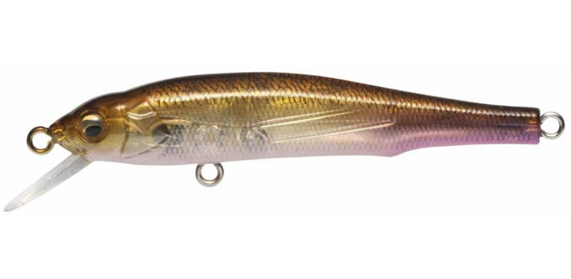 Megabass X-70 Suspend Minnow Lure GP Wakasagi (4182)