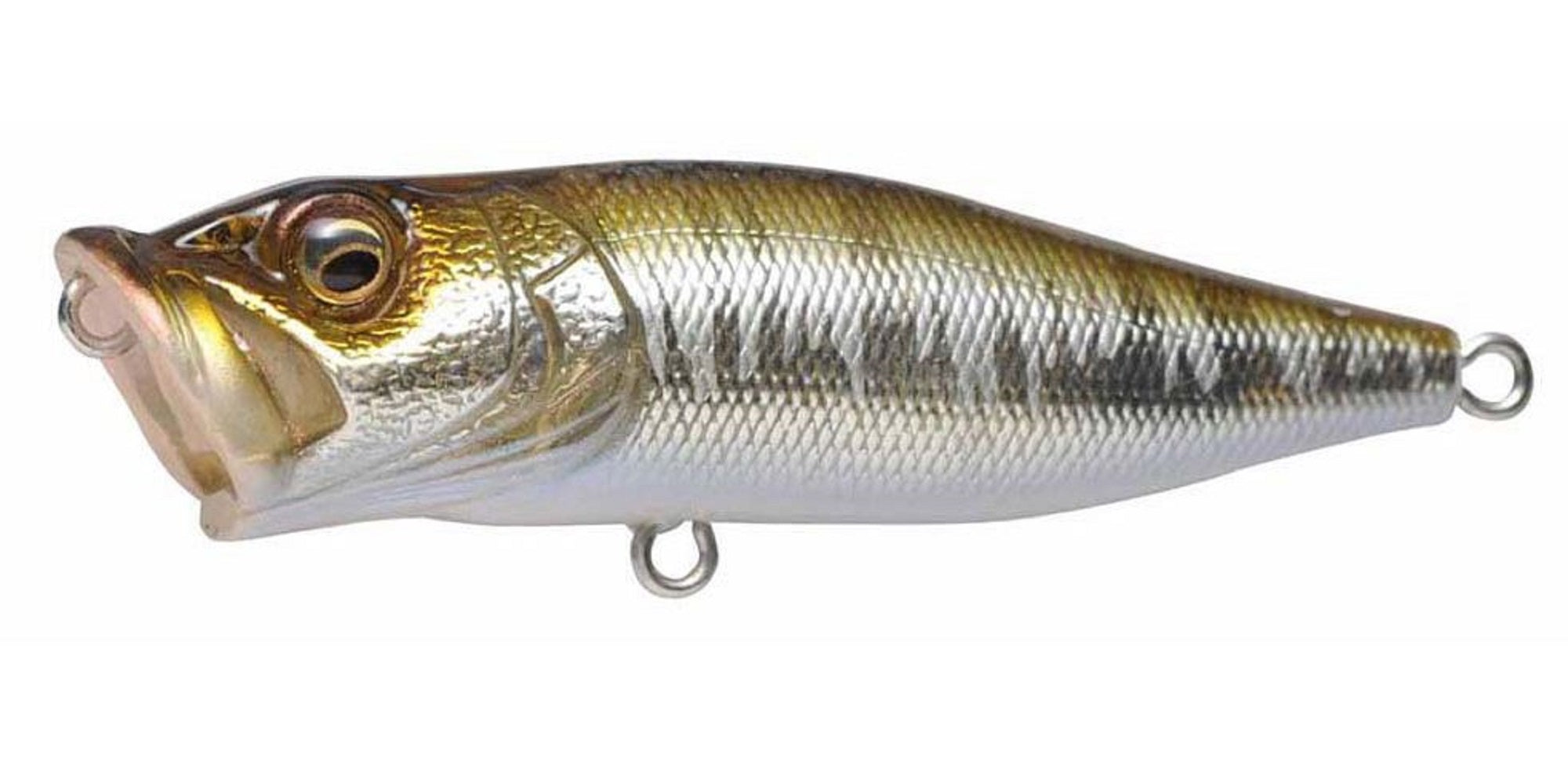 Megabass Pop X Standard 64 mm 7 grams Floating Lure Wagin Hasu 2 (6841)