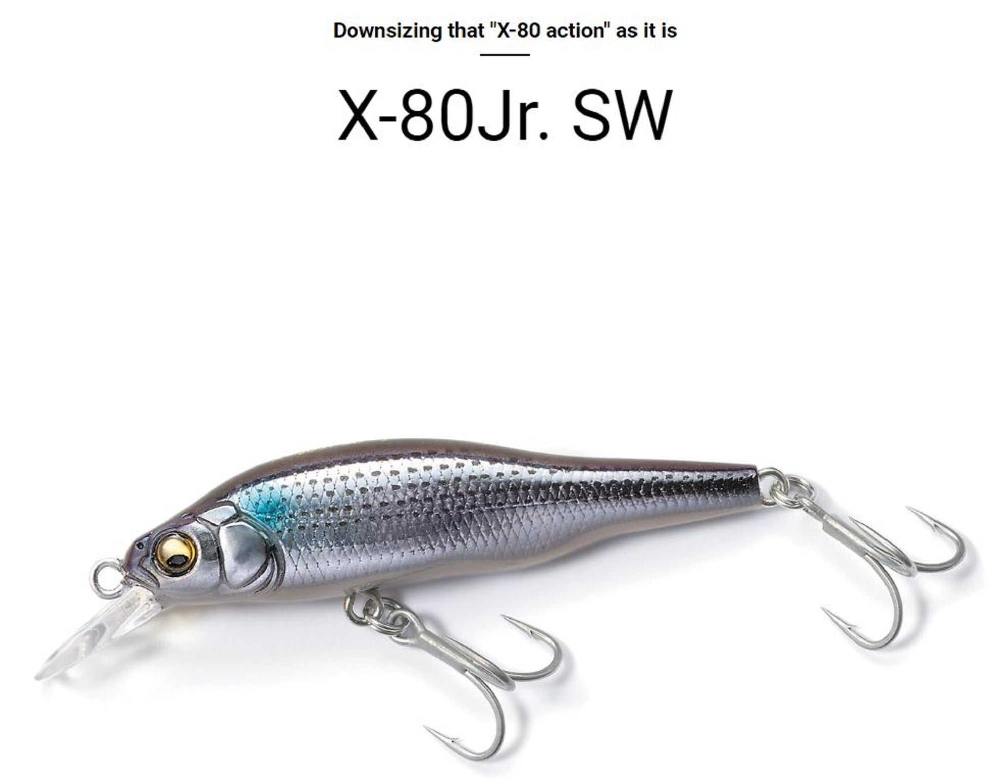 Megabass X-80 JR SW Slow Sinking Lure GG Iwashi (1676)