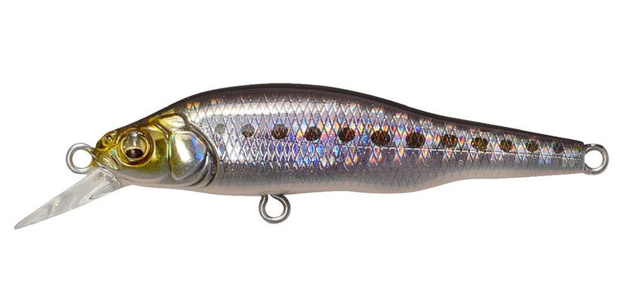Megabass X-80 JR SW Slow Sinking Lure GG Iwashi (1676)