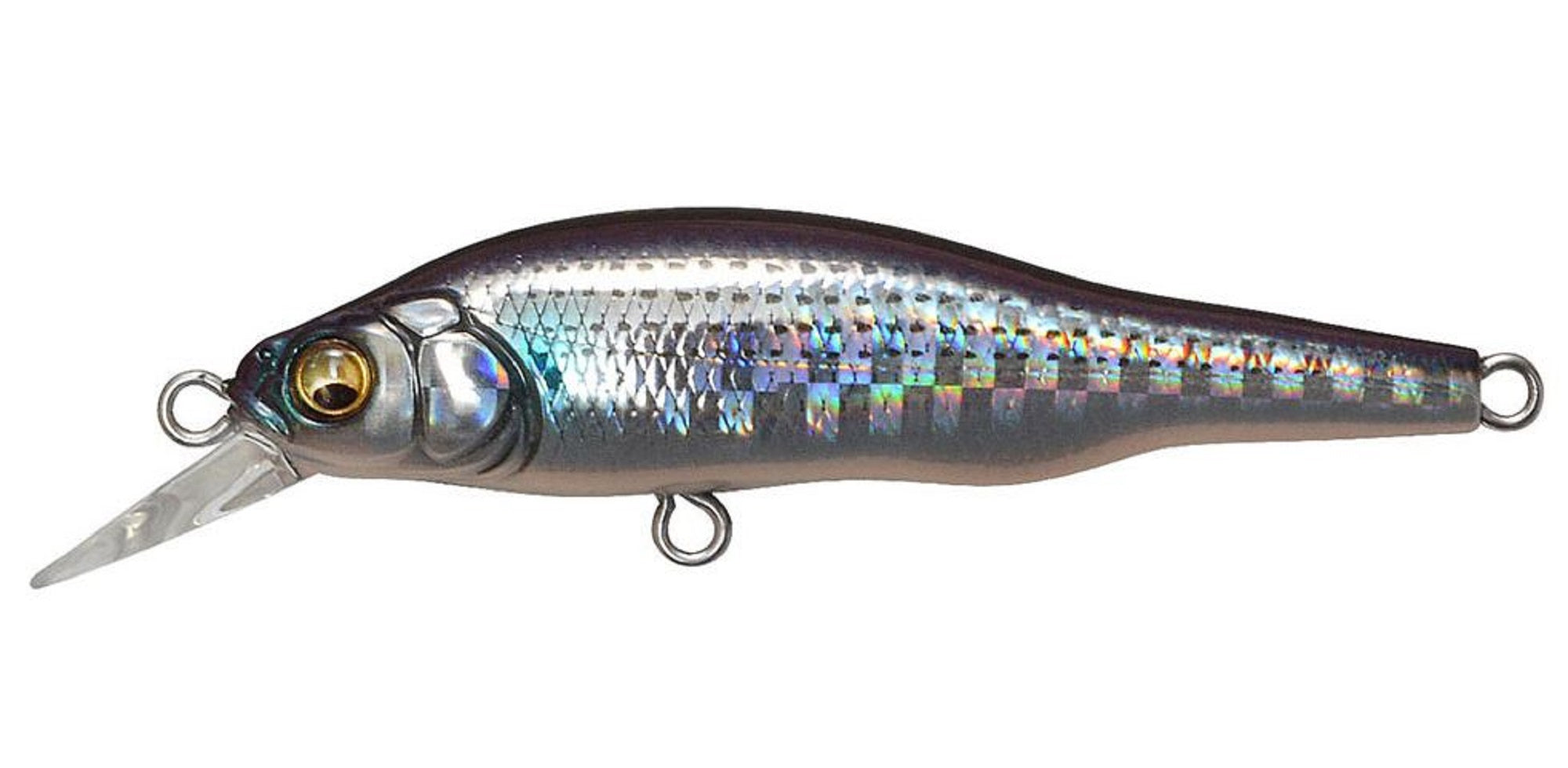 Megabass X-80 JR SW Slow Sinking Lure GG Bora (1683)