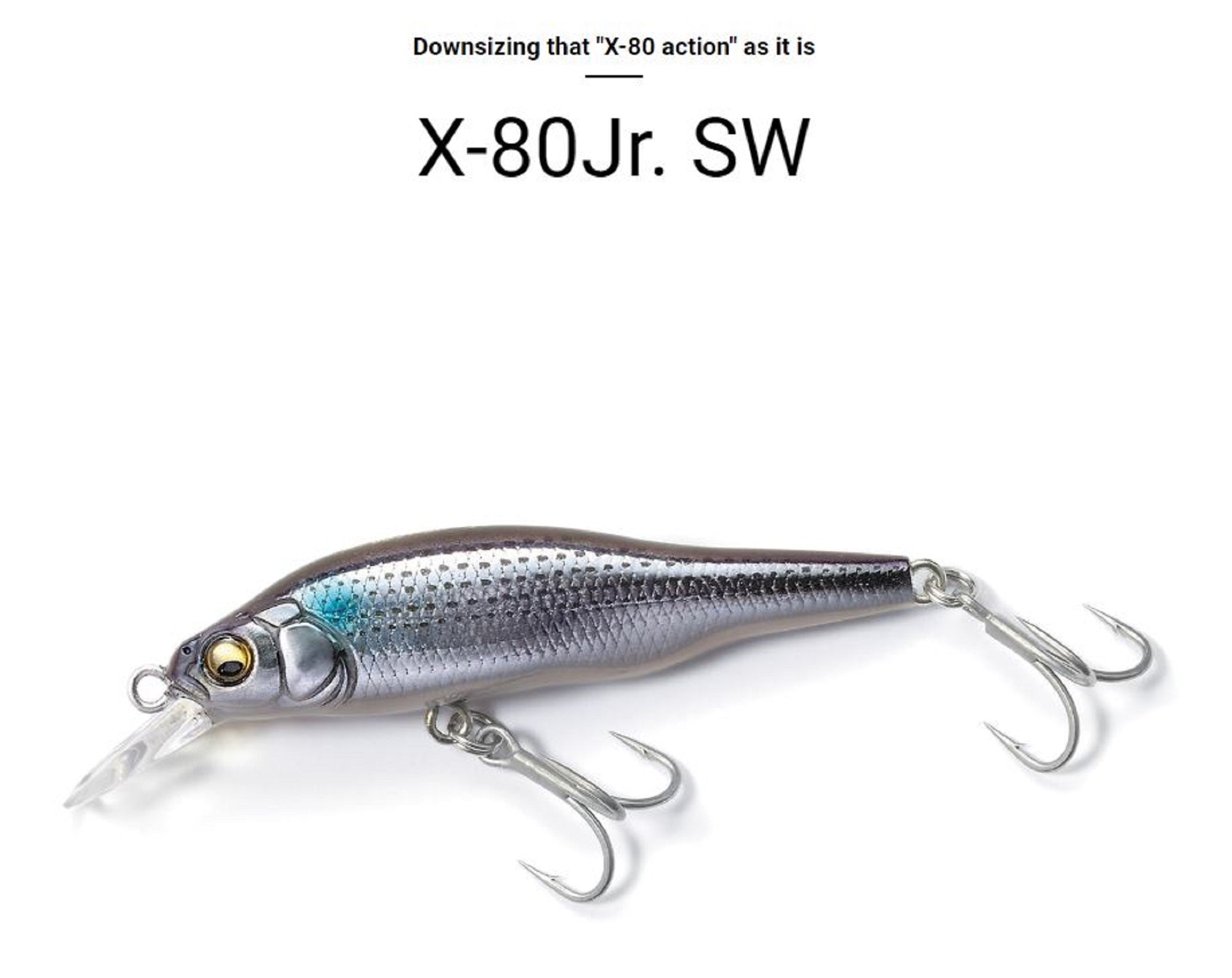 Megabass X-80 JR SW Slow Sinking Lure GG Bora (1683)
