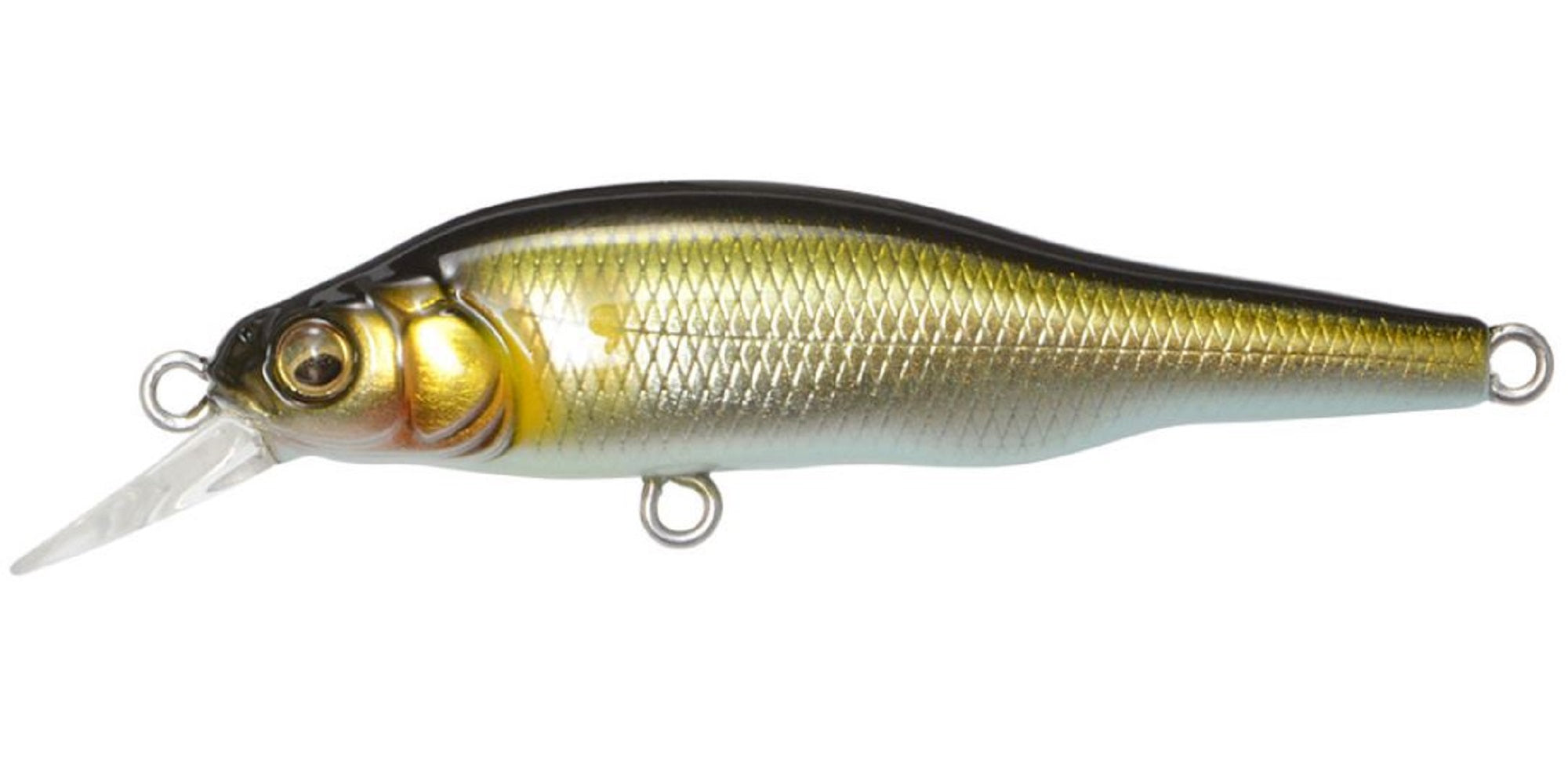 Megabass X-80 JR Suspend Minnow Lure Takumi Ochiayu (3559)