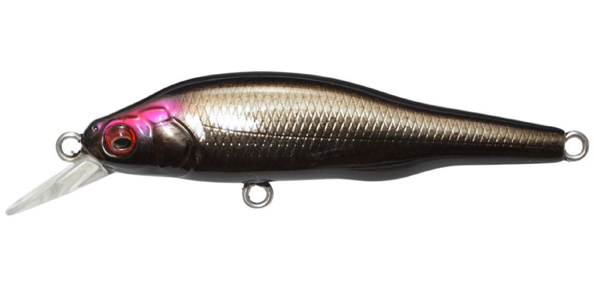Megabass X-80 JR Suspend Minnow Lure MG Secret Shadow (3573)