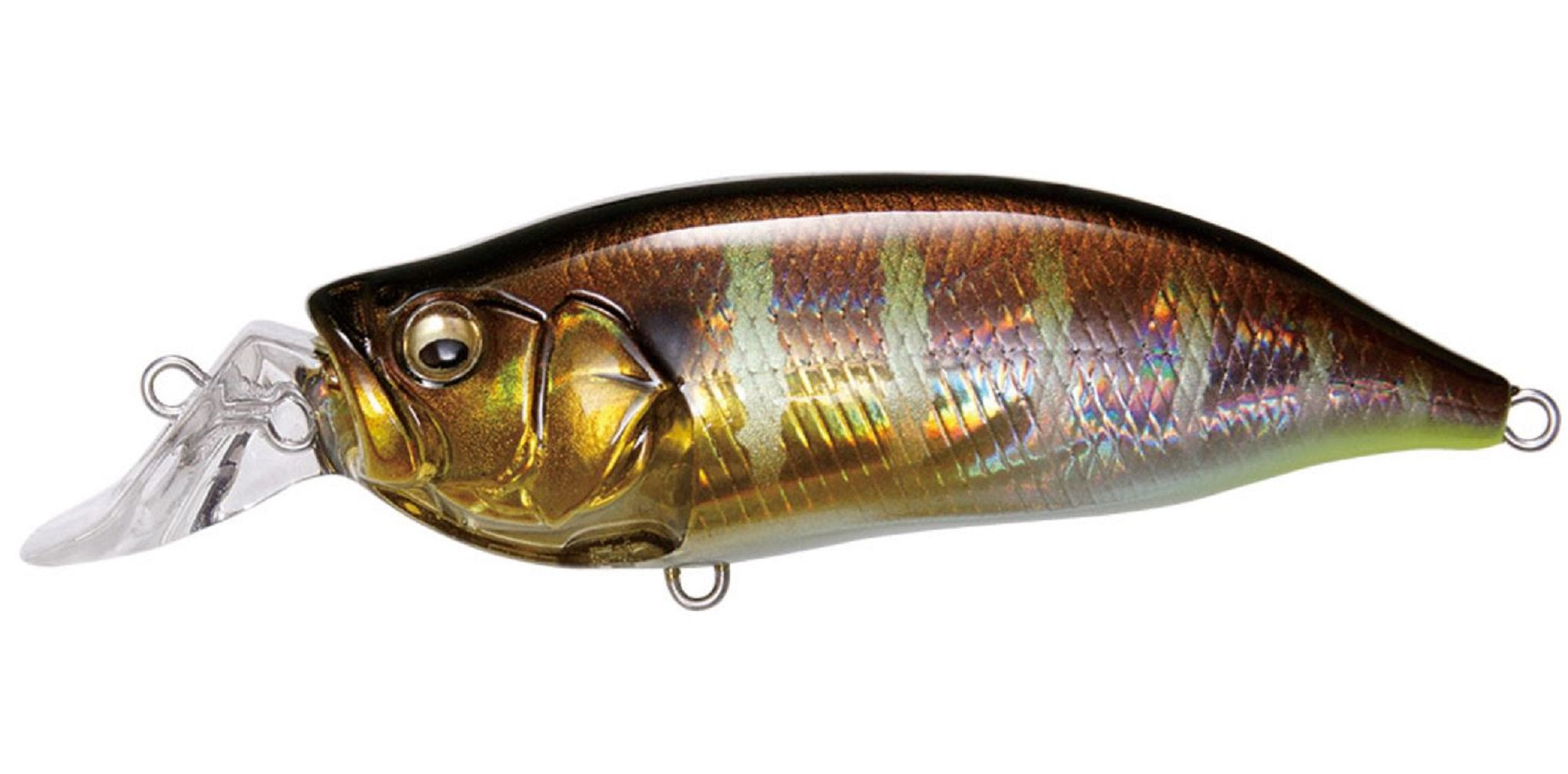 Megabass I X I Shad Type-R 1m 57 mm 1/4 oz Floating Lure GG Gill (0593)