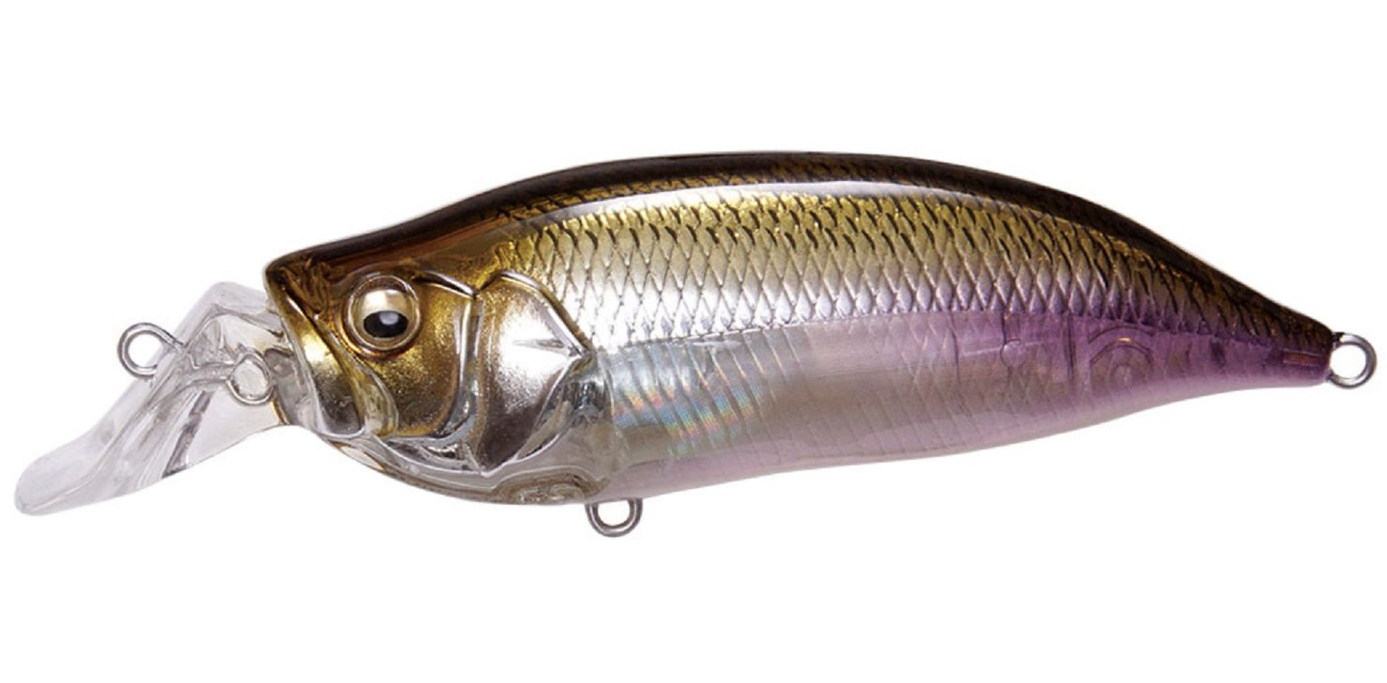 Megabass I X I Shad Type-R 1m 57mm 1/4 oz Floating Lure HT Wakasagi (0647)
