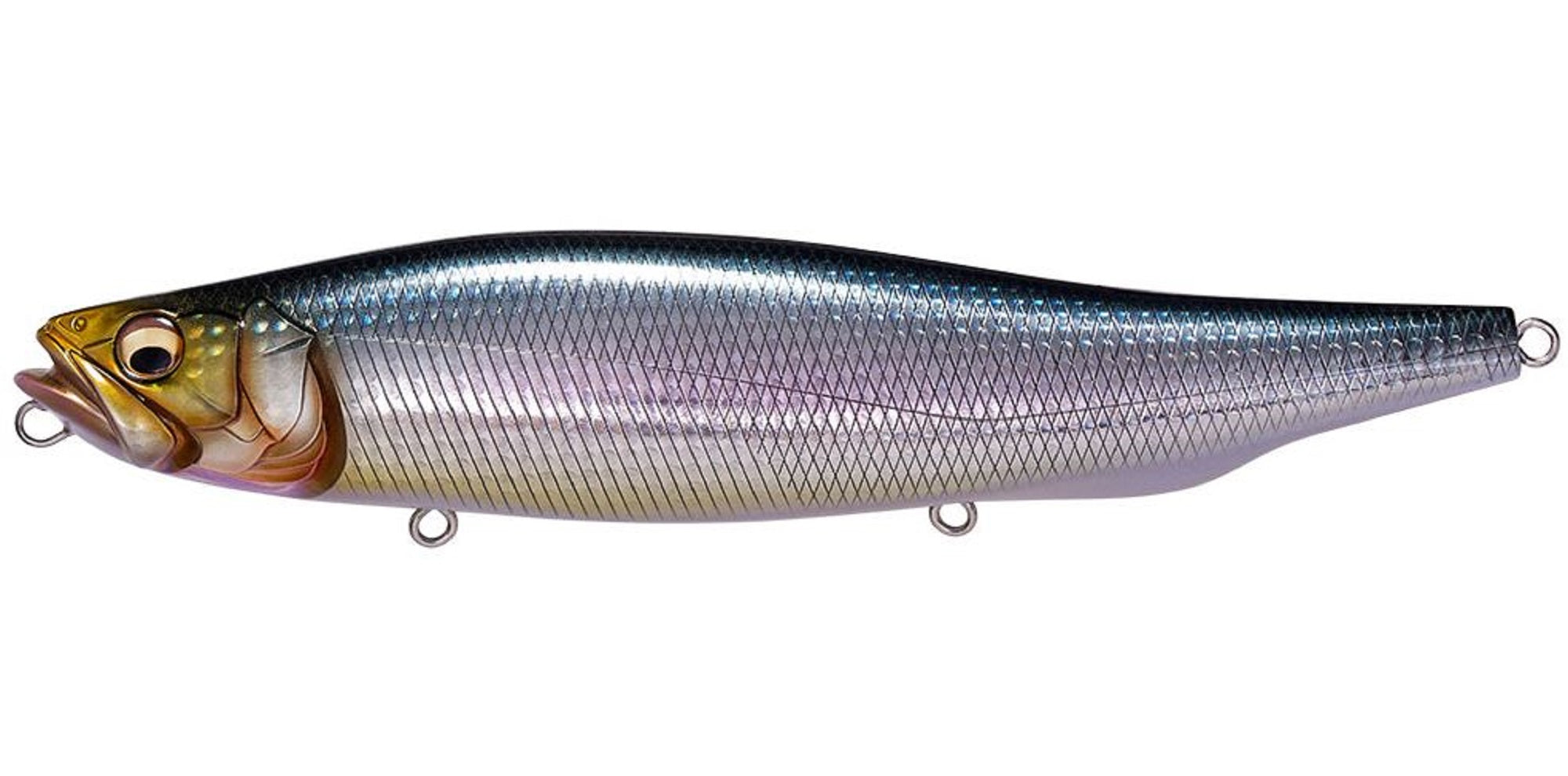 Megabass Megadog 220 Floating Lure Iwashi (4560)