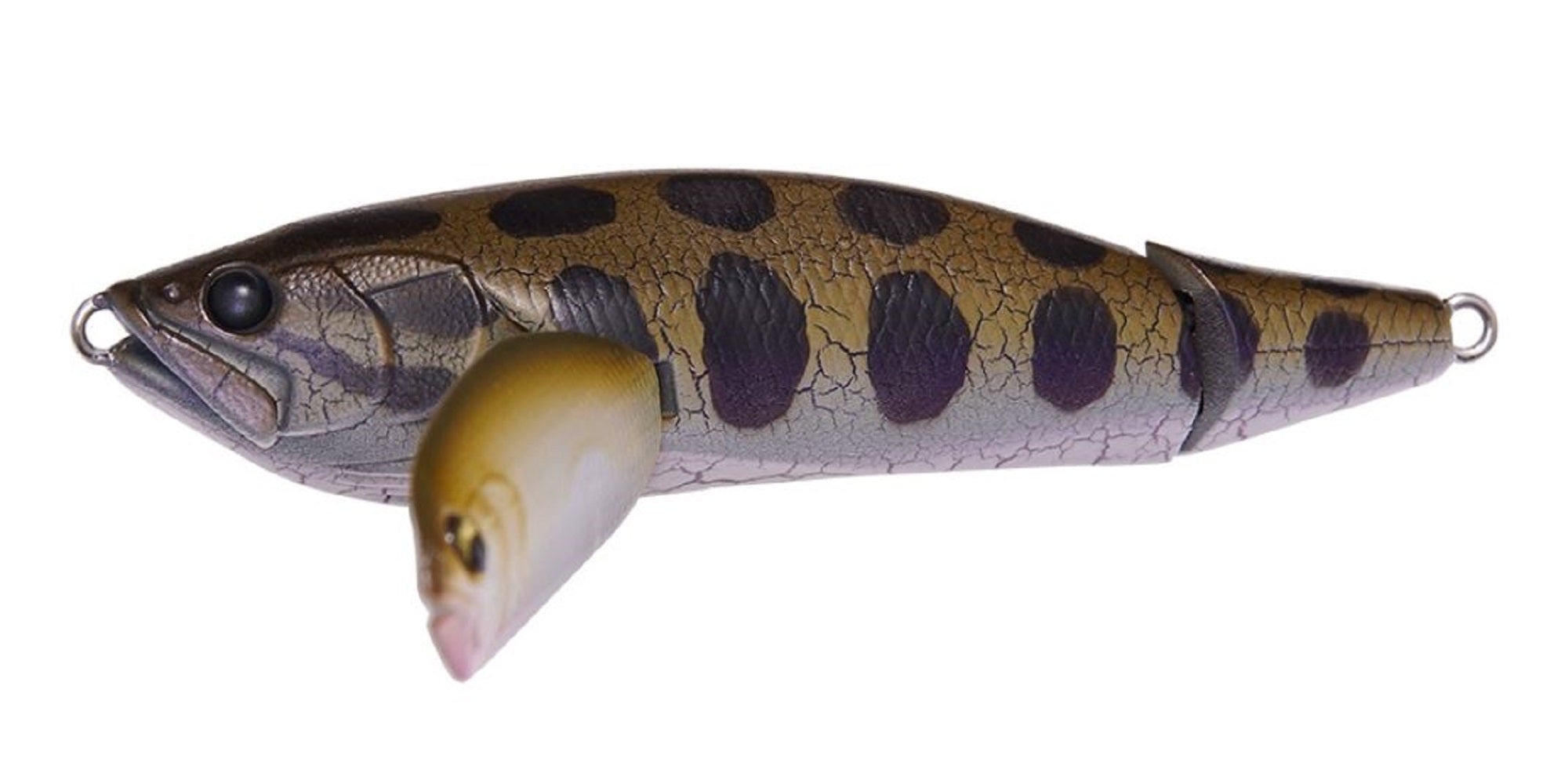 Megabass I-Wing Triple Fry 80 mm 1/2 oz Floating Lure Pagani Raigyo (7644)