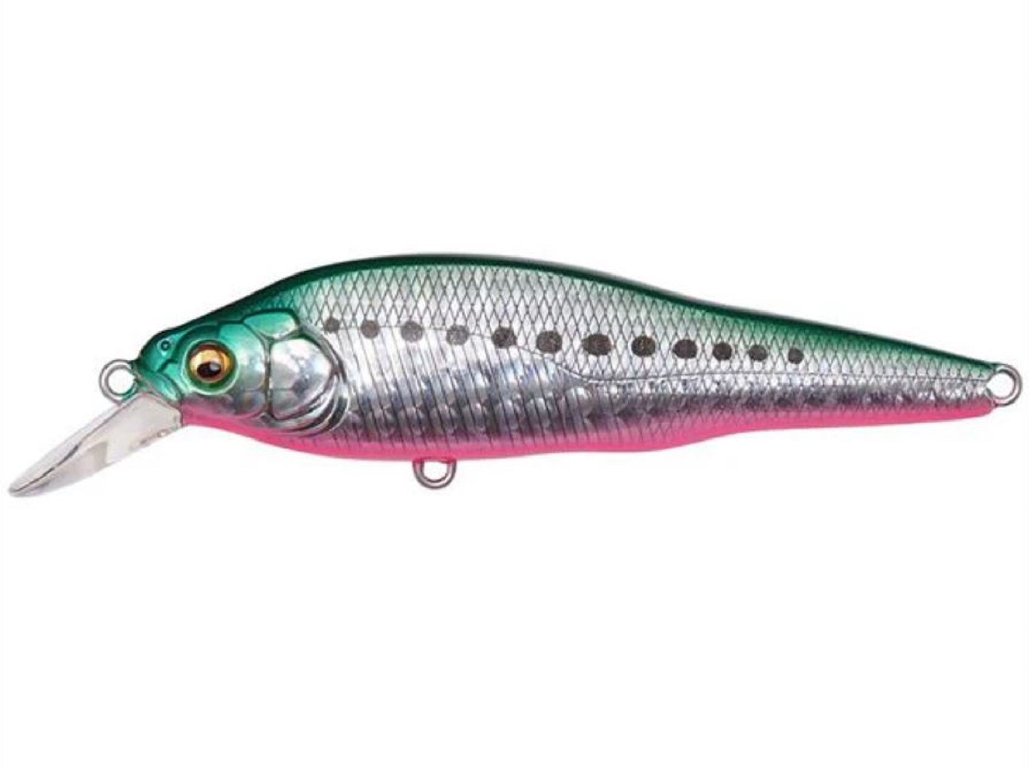 Megabass X-80 SW LBO Shallow Sinking Lure GG Reaction Iwashi (7774)