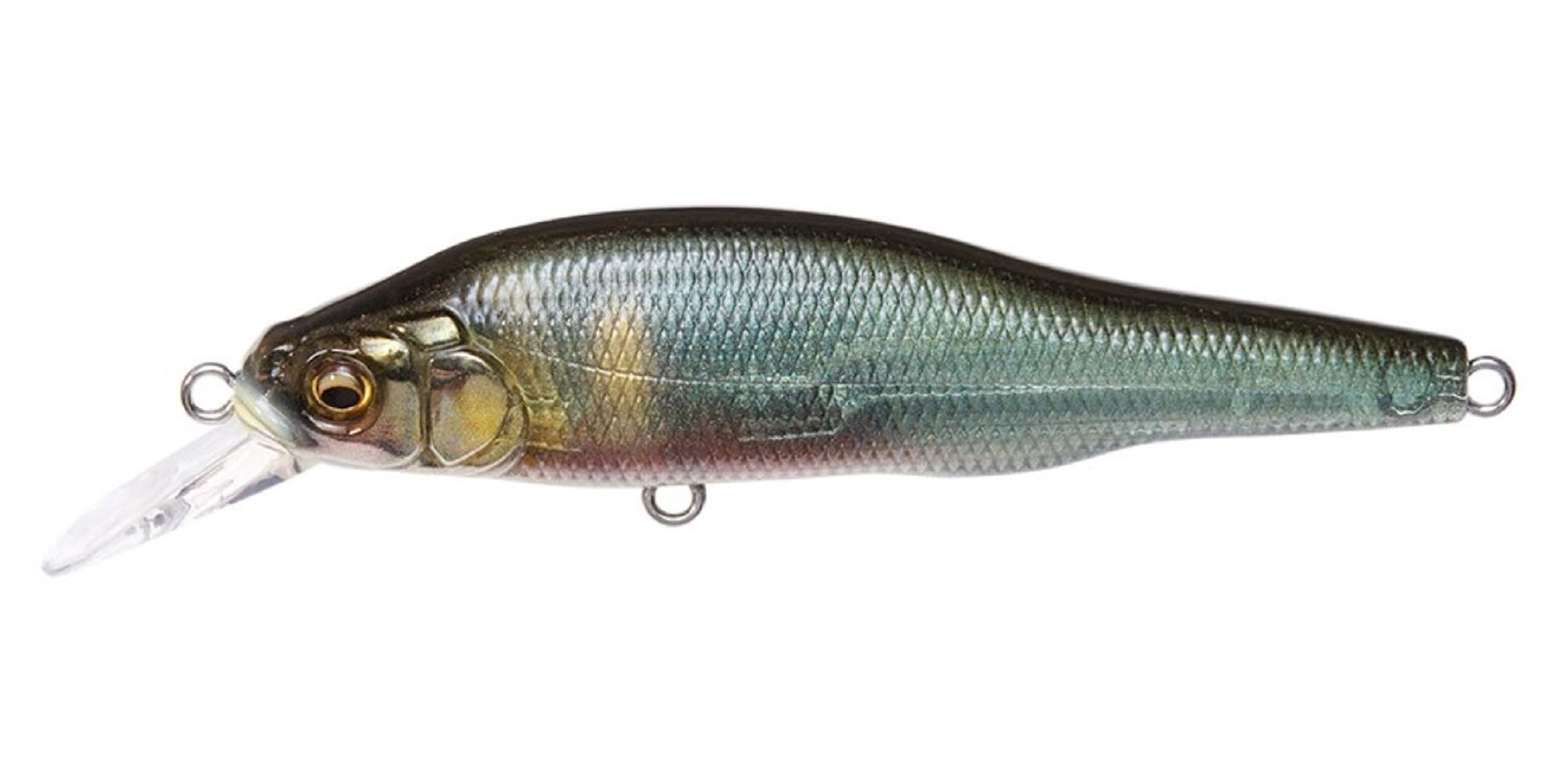 Megabass X-80 Trick Darter Suspend Lure FA Kisyu Ayu (8503)