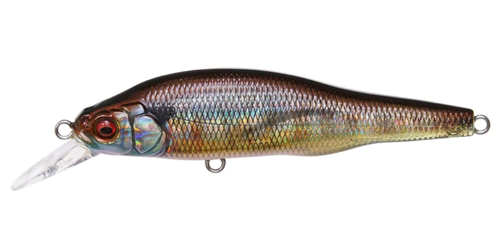 Megabass X-80 Trick Darter Suspend Lure FA Gill (8527)