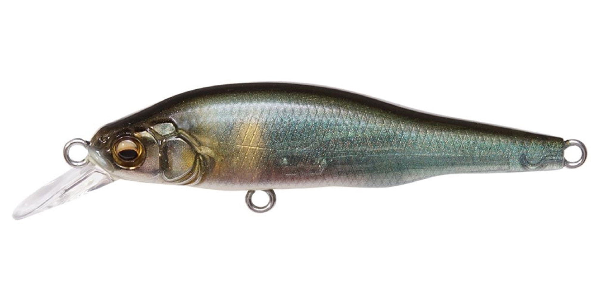 Megabass X-80 JR Suspend Minnow Lure FA Kisyu Ayu (8558)
