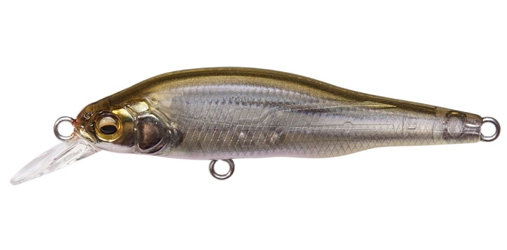 Megabass X-80 JR Suspend Minnow Lure FA Wakasagi (8589)