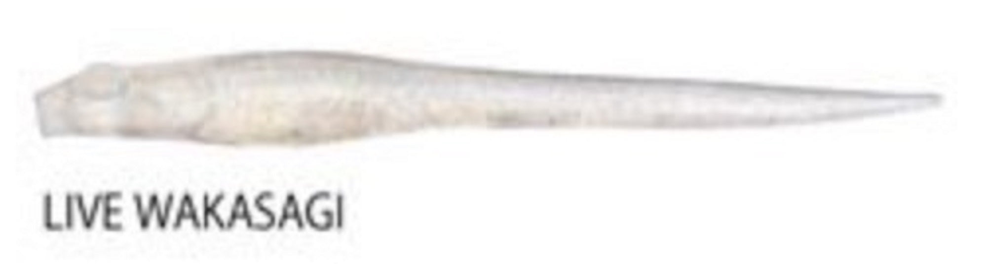 Megabass Soft Lure Hazedong 5 Inches Live Wakasagi (0770)