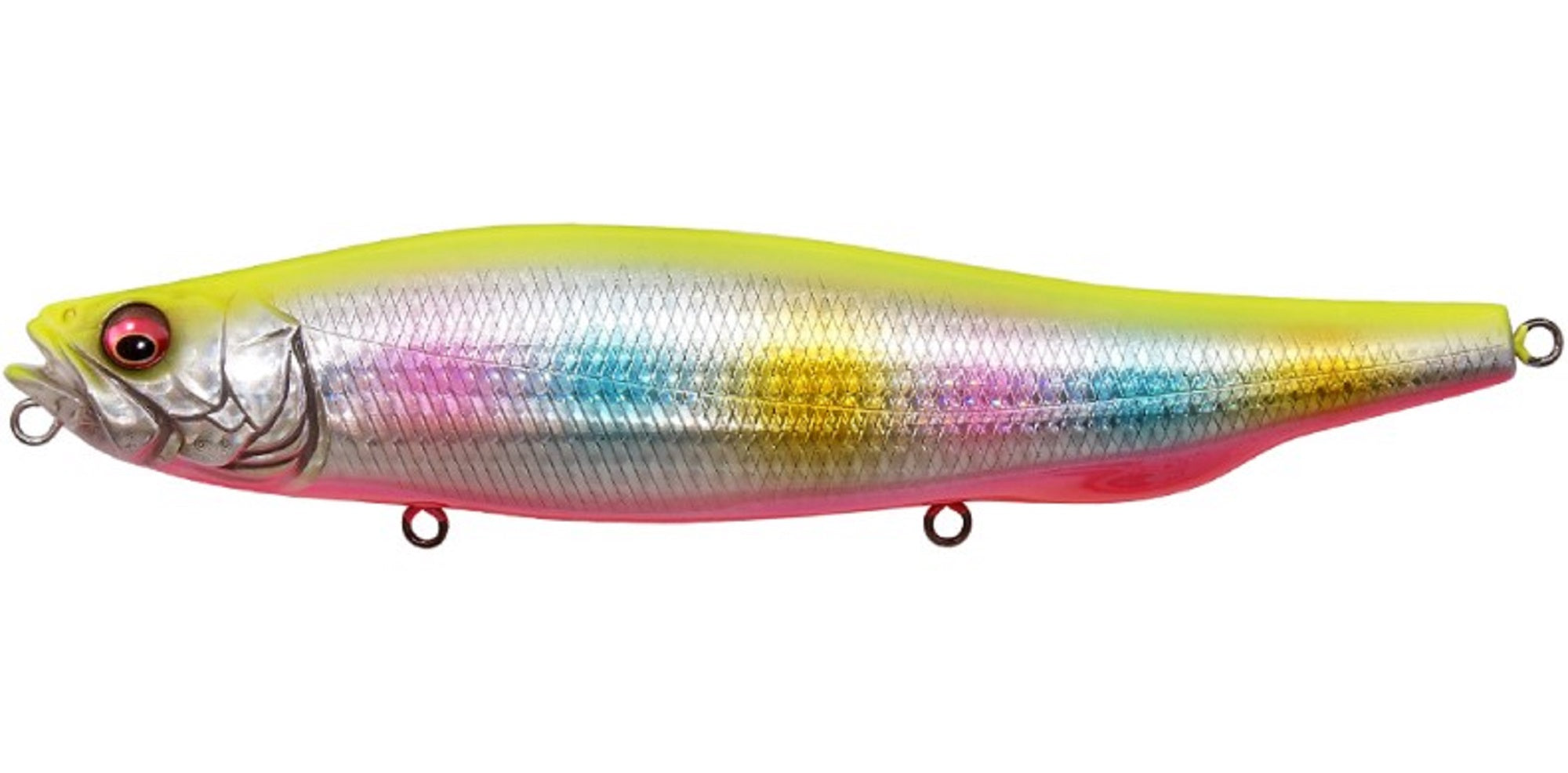 Megabass Megadog 180 Floating Lure GG Chartback Rainbow PB (4488)