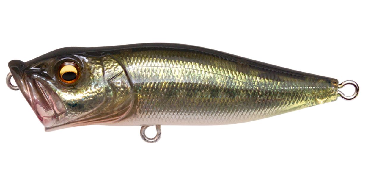 Megabass Pop X Standard 64 mm 7 grams Floating Lure FA Bass (0434)