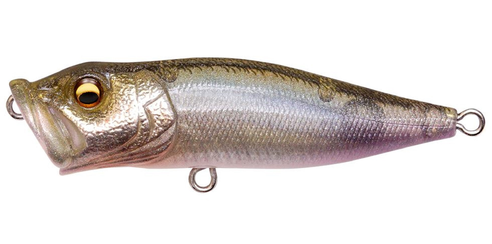 Megabass Pop X Standard 64 mm 7 grams Floating Lure FA Wakasagi (0441)